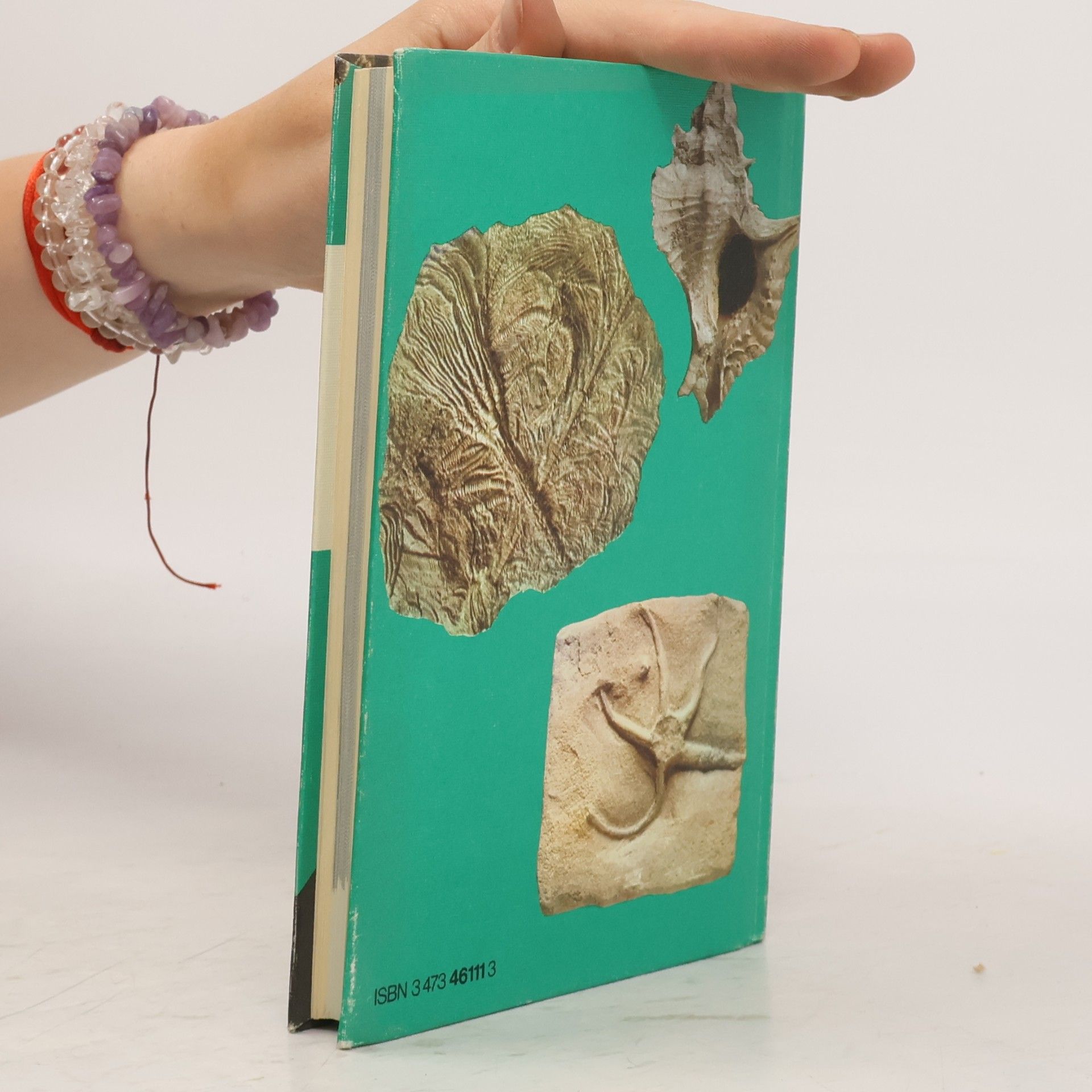 John F. Kirkaldy Fossilien in Farben