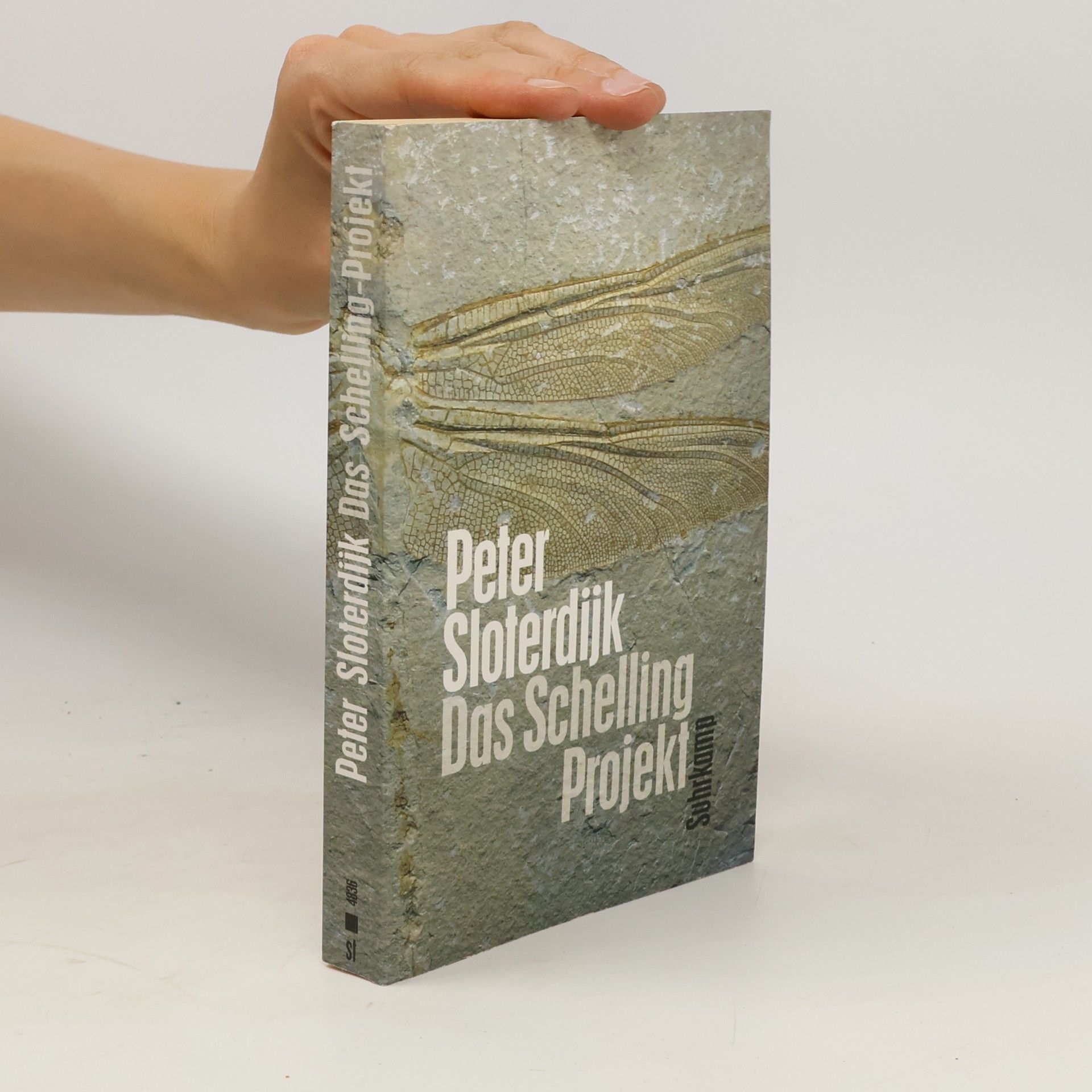 Peter Sloterdijk Das Schelling-Projekt