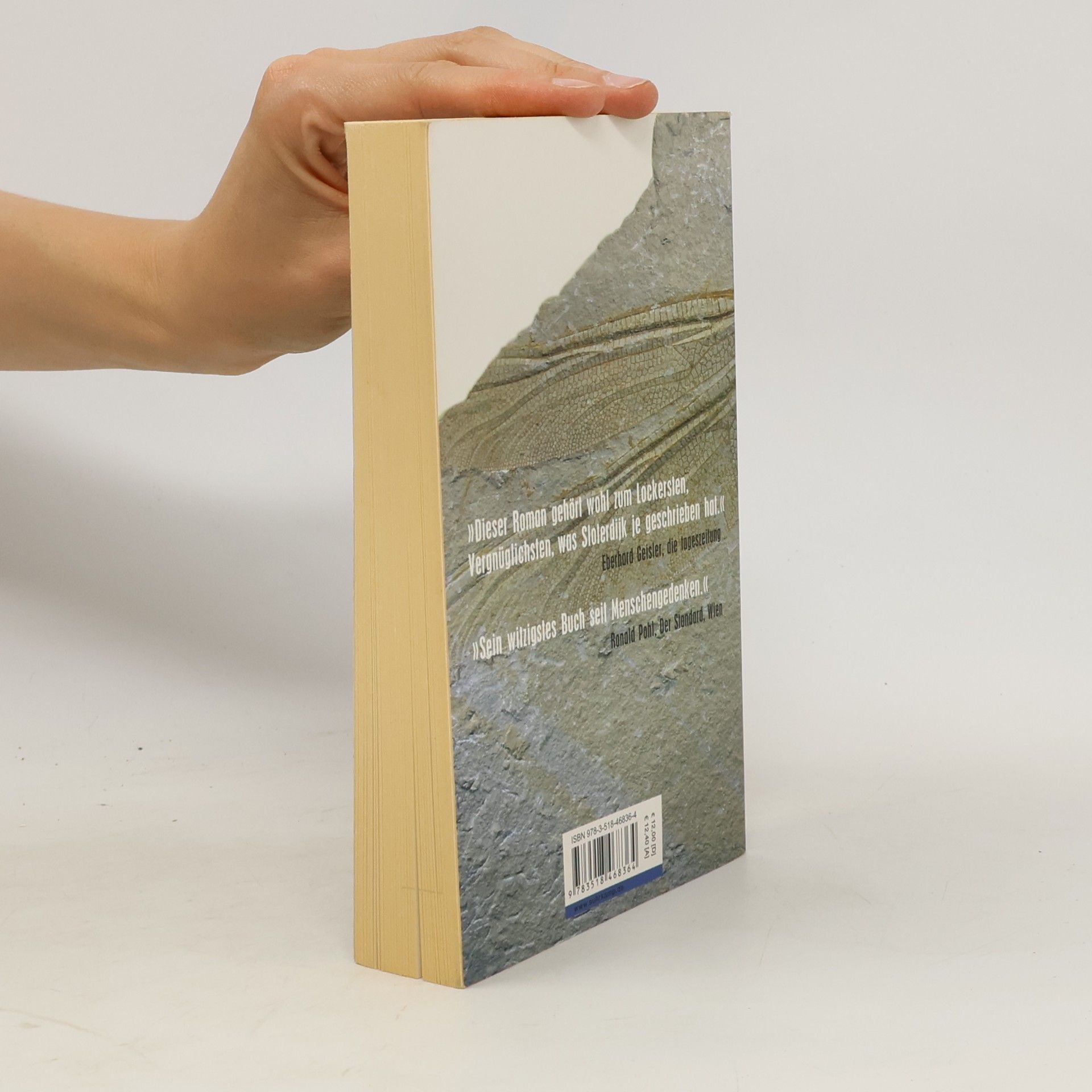 Peter Sloterdijk Das Schelling-Projekt