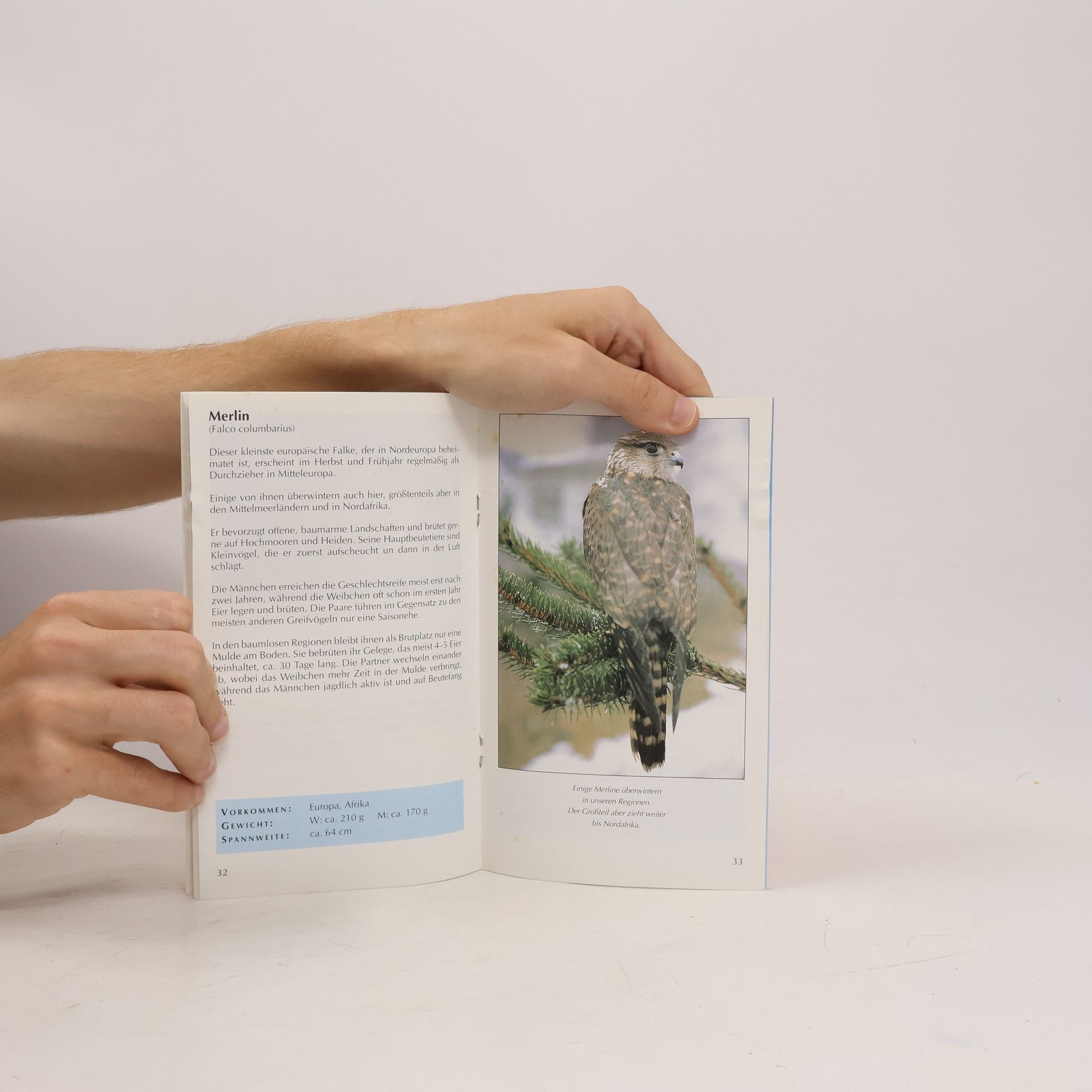 Autorenkollektiv Greifvogelwarte Landskron