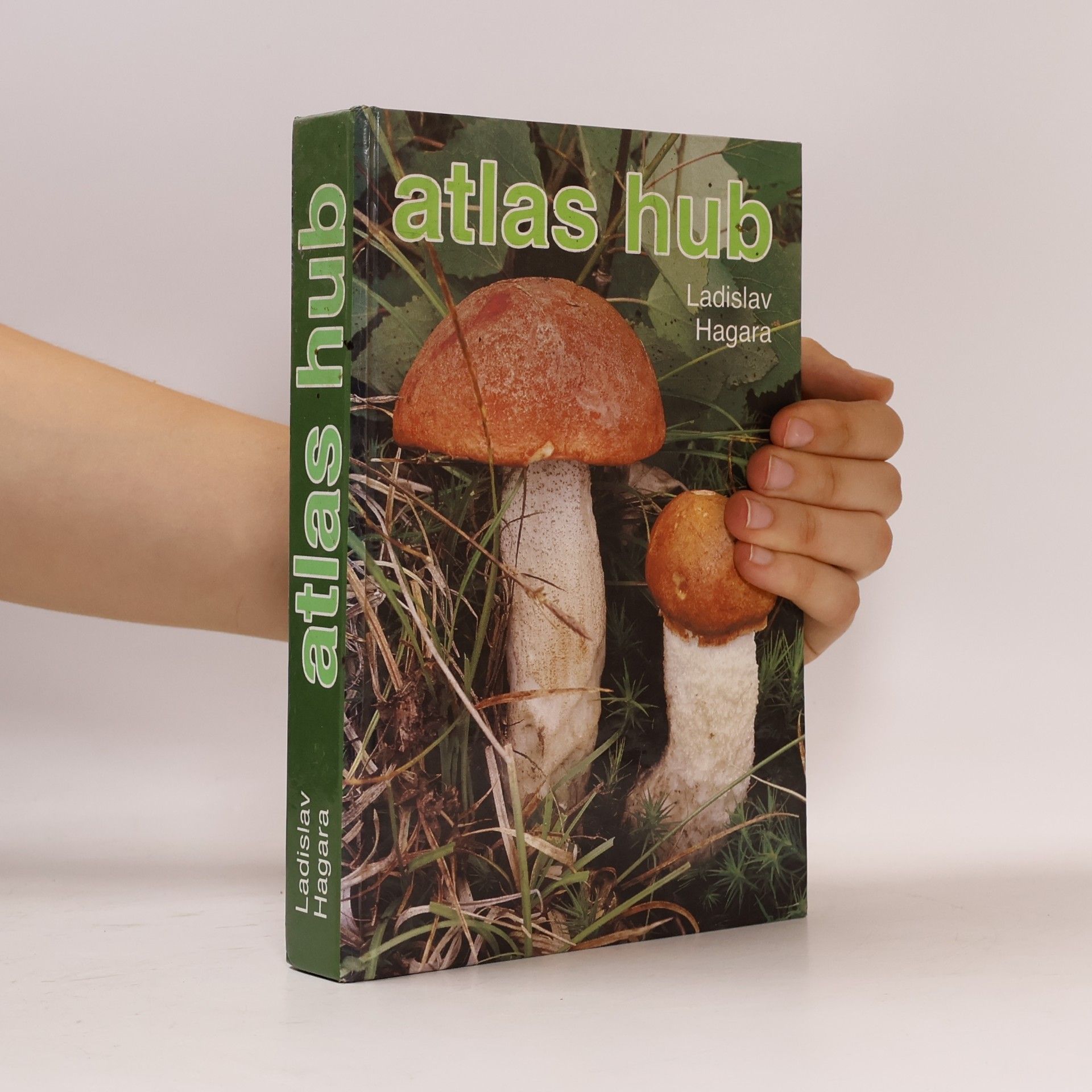 Ladislav Hagara Atlas hub