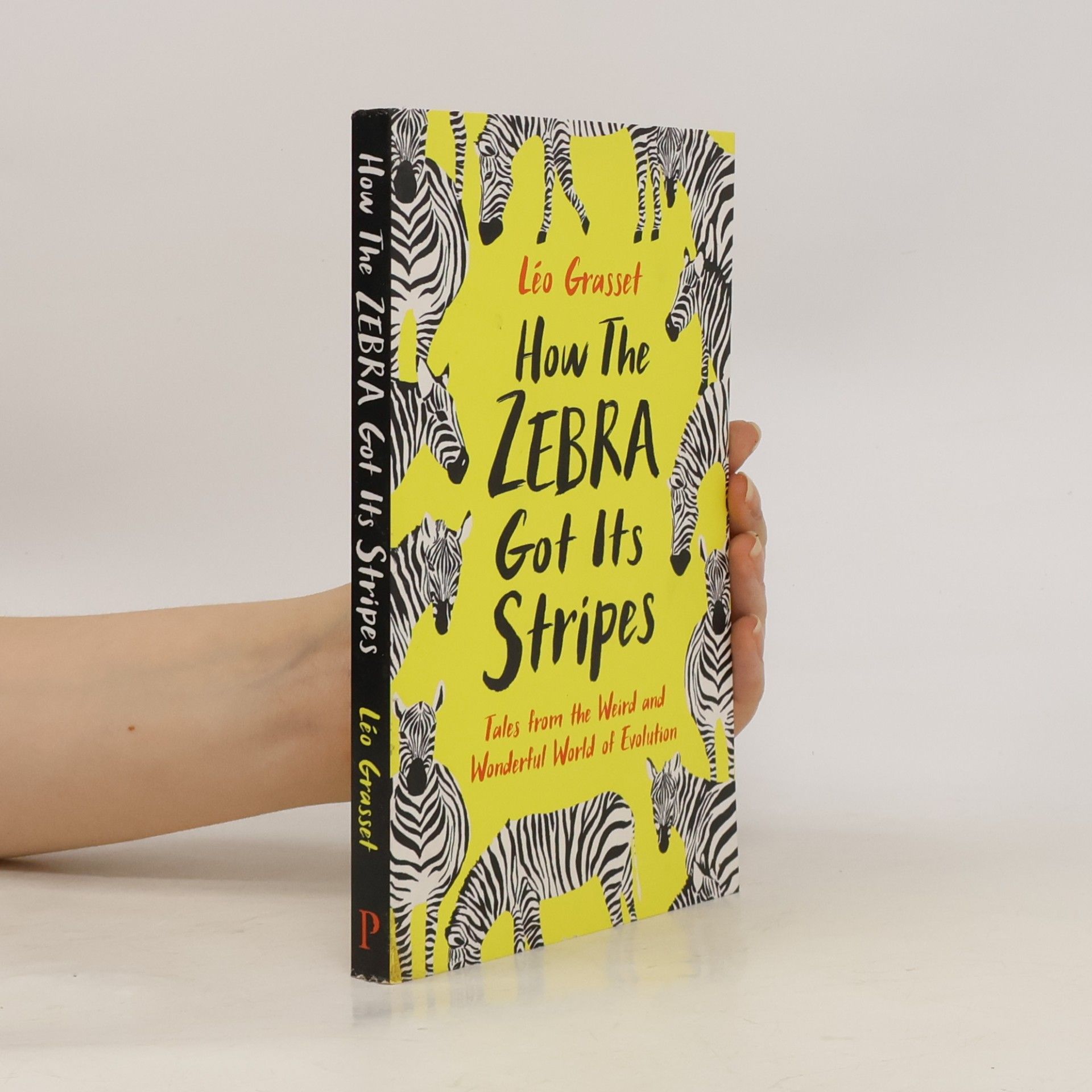 Barbara Mellor How the Zebra Got Its Stripes