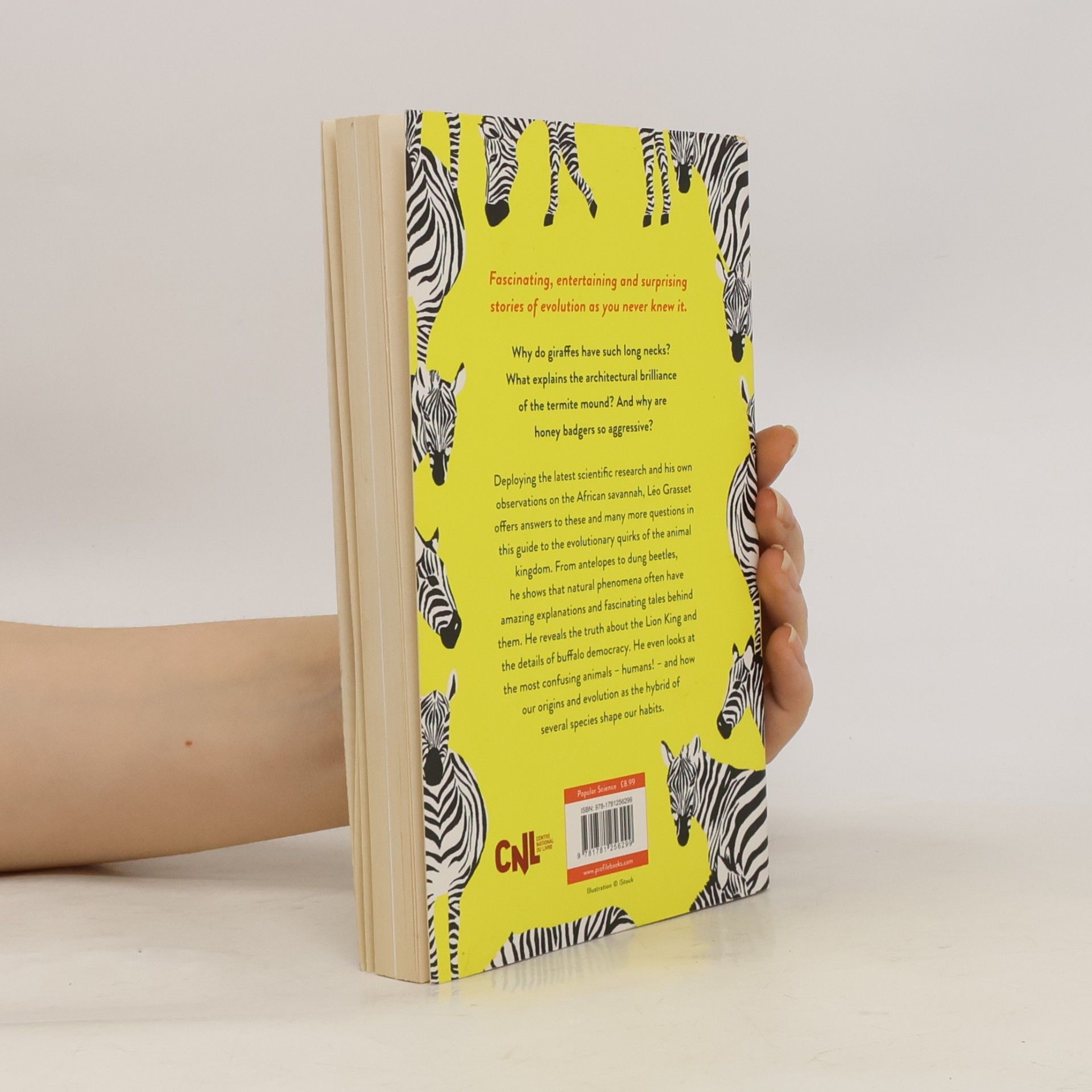 Léo Grasset How the Zebra Got Its Stripes