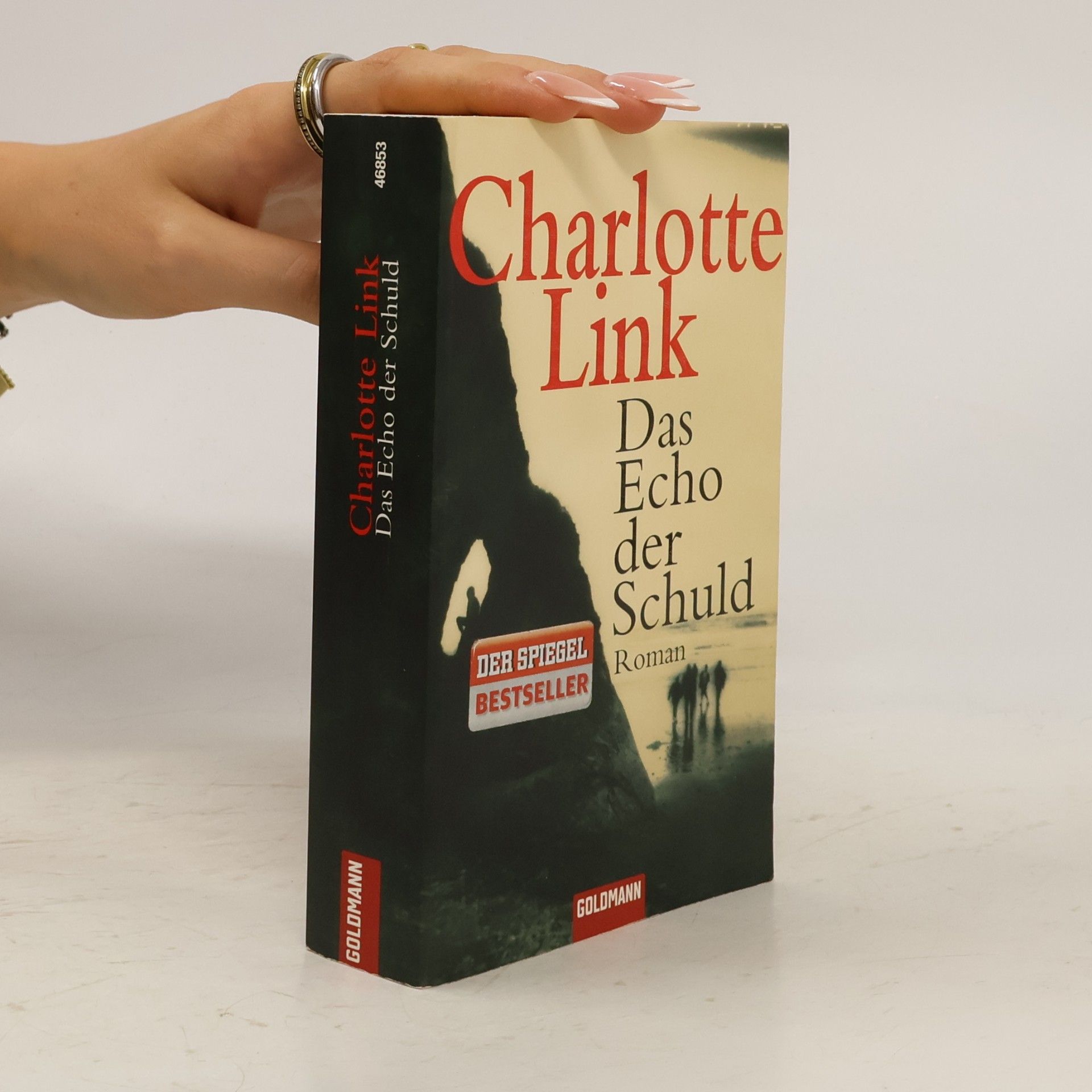 Charlotte Link Das Echo der Schuld