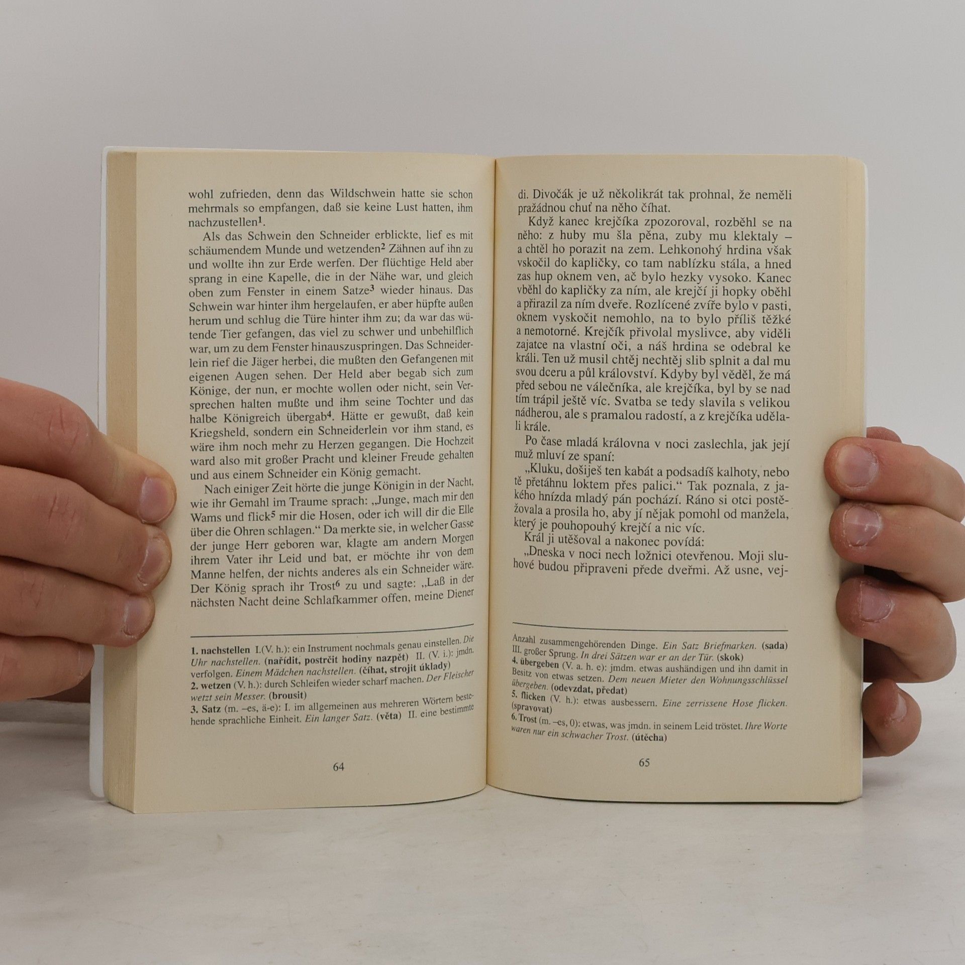 Jacob Grimm Märchen. Německé pohádky
