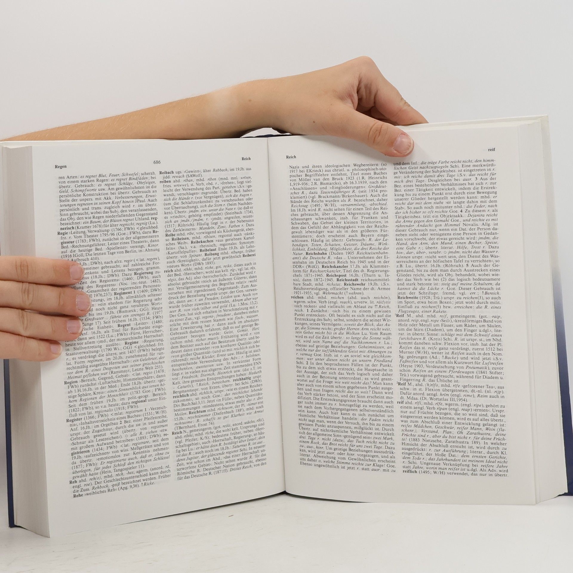 Hermann Paul Deutsches Wörterbuch