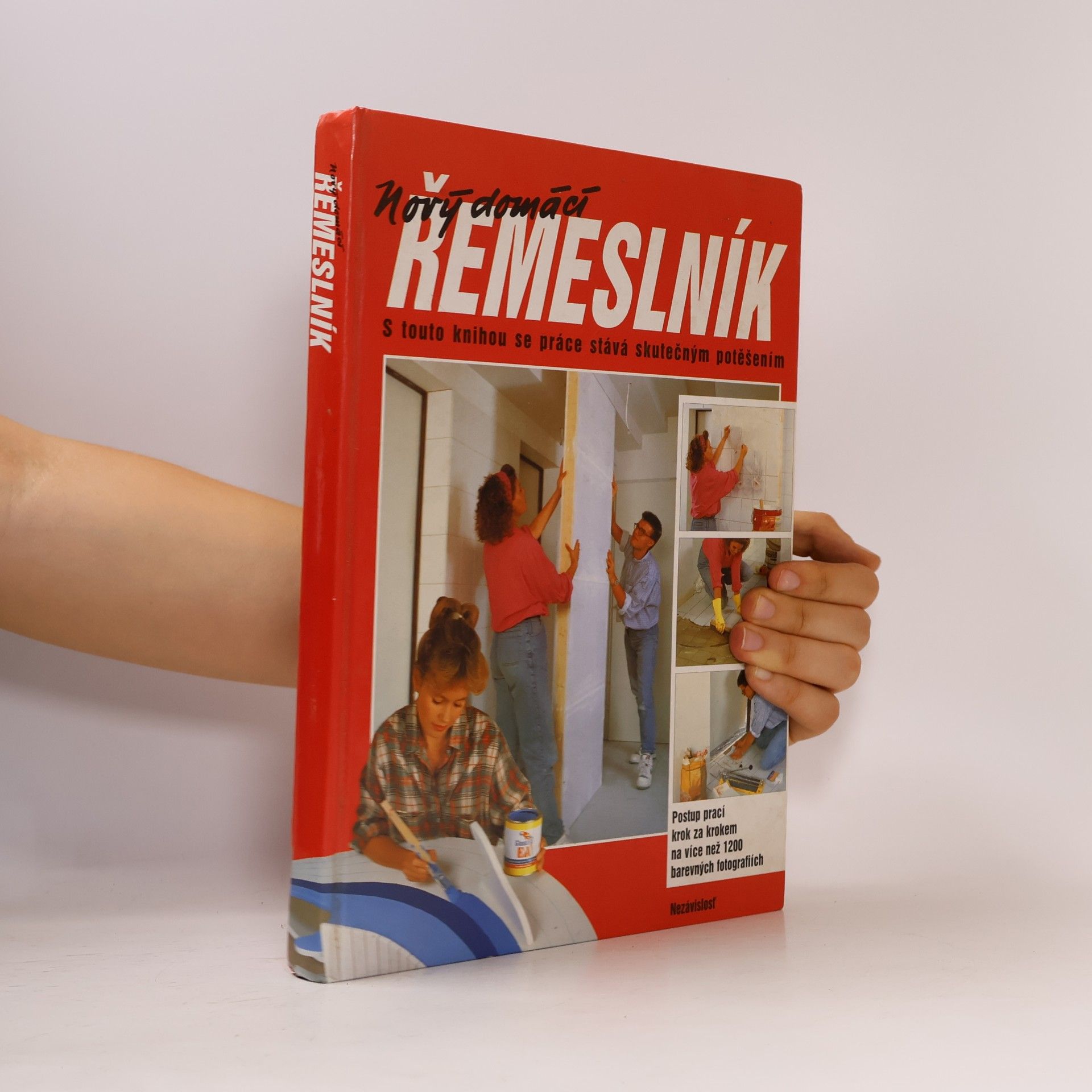 Dieter Rex Nový domácí řemeslník
