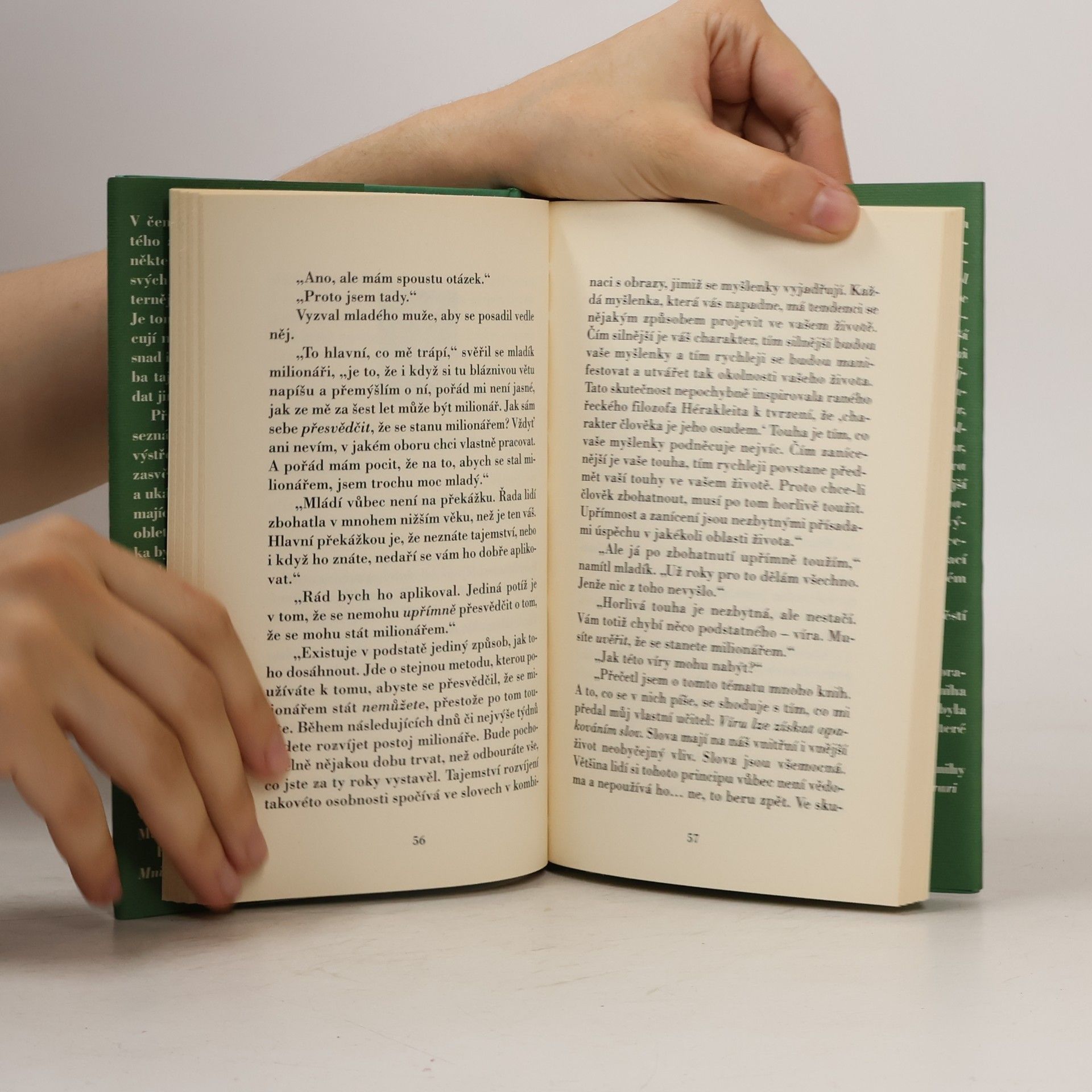 Mark Fisher Muž, který chtěl být bohatý
