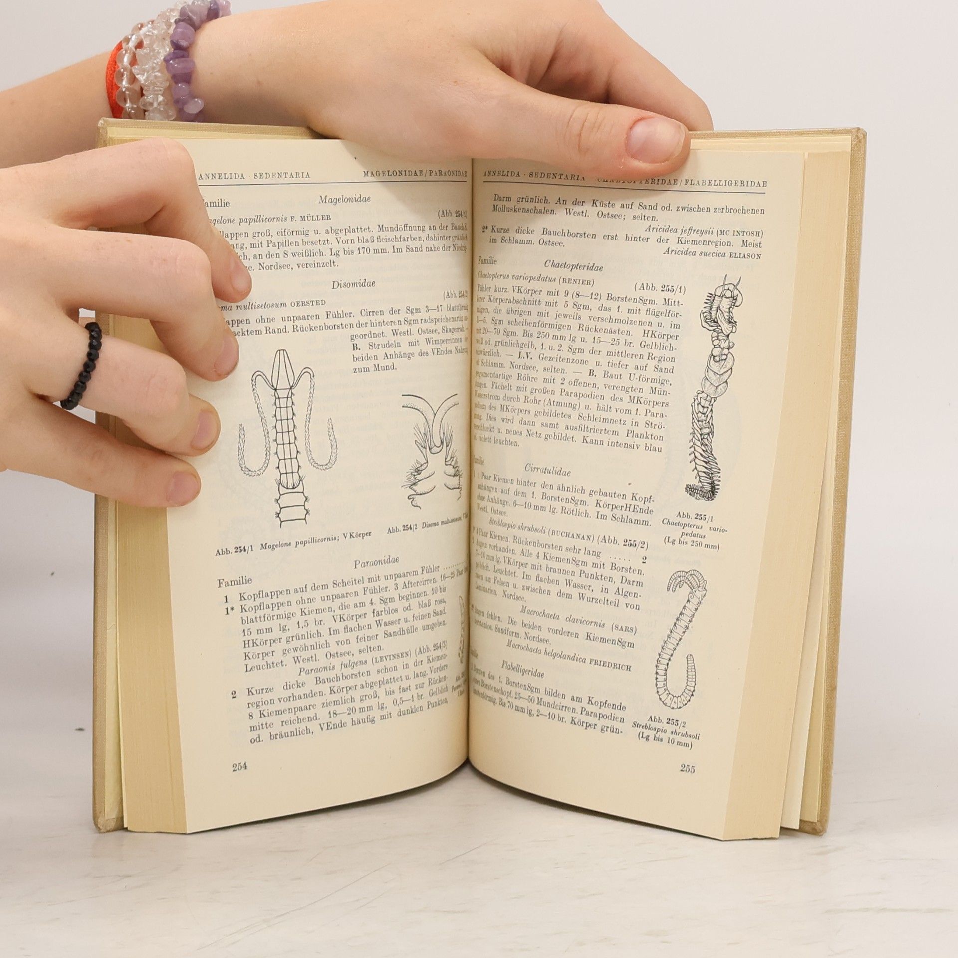Various authors Exkursionsfauna. Wirbellose I.