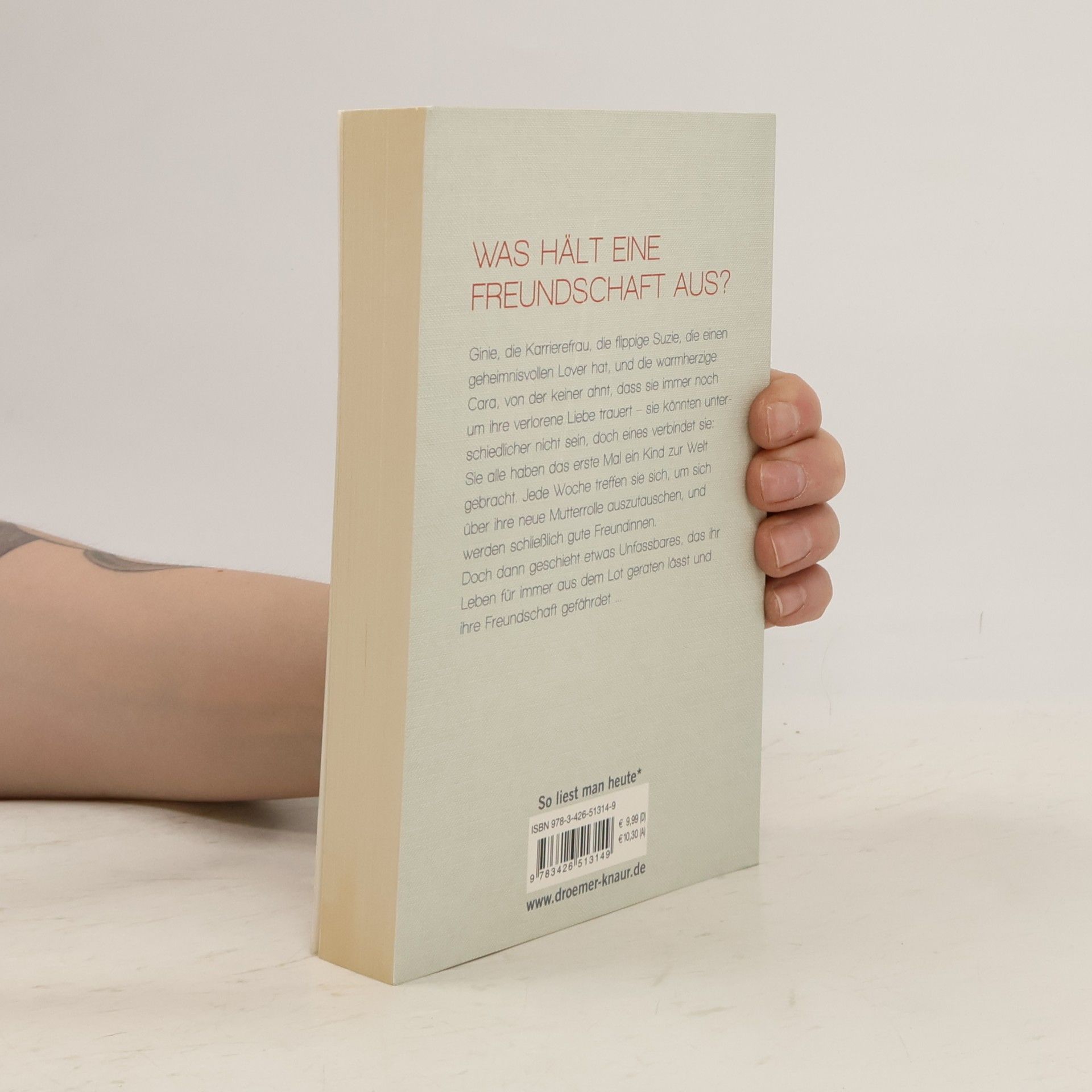 Fiona Higgins Mit euch an meiner Seite