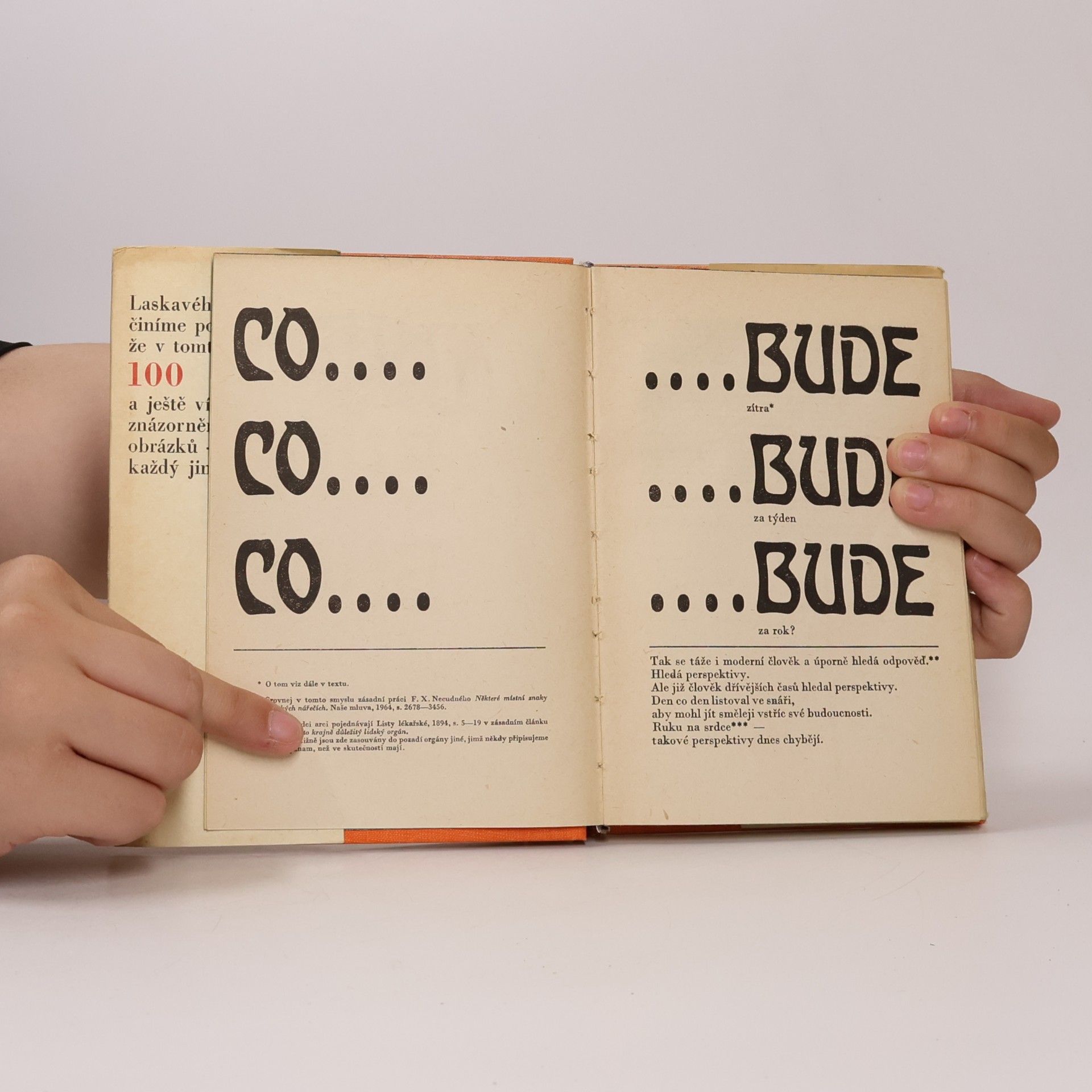 Collectif d'auteurs Snář