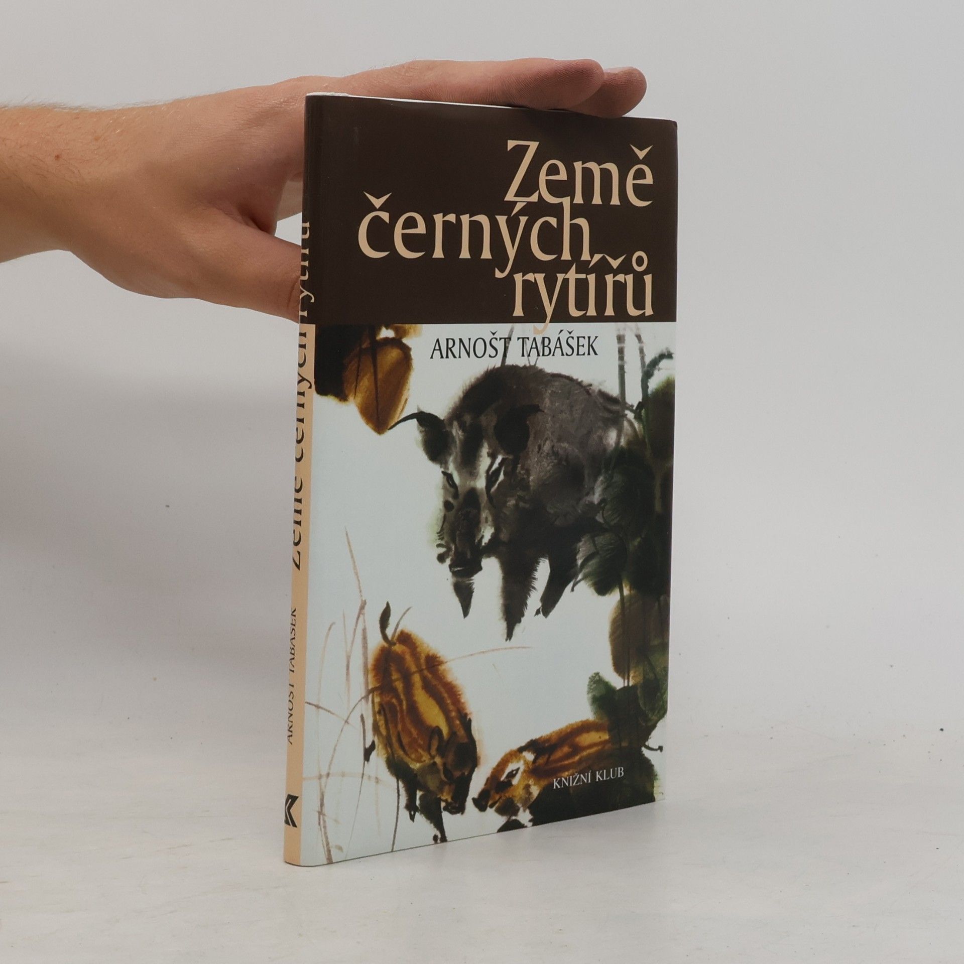 Arnošt Tabášek Země černých rytířů