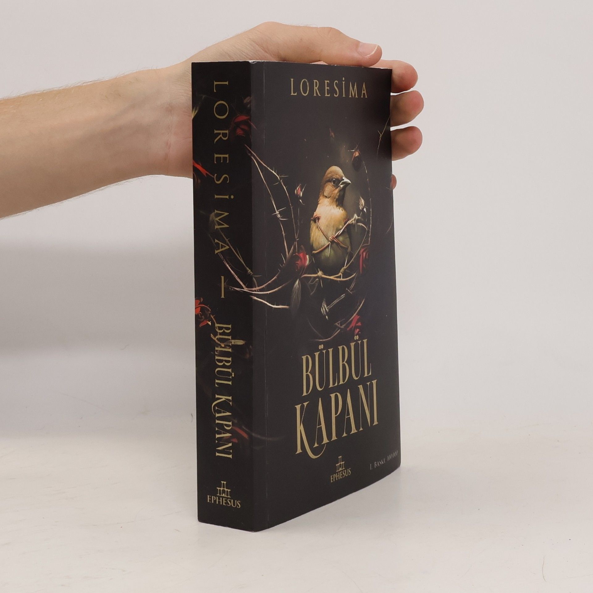 Loresima Bülbül Kapanı