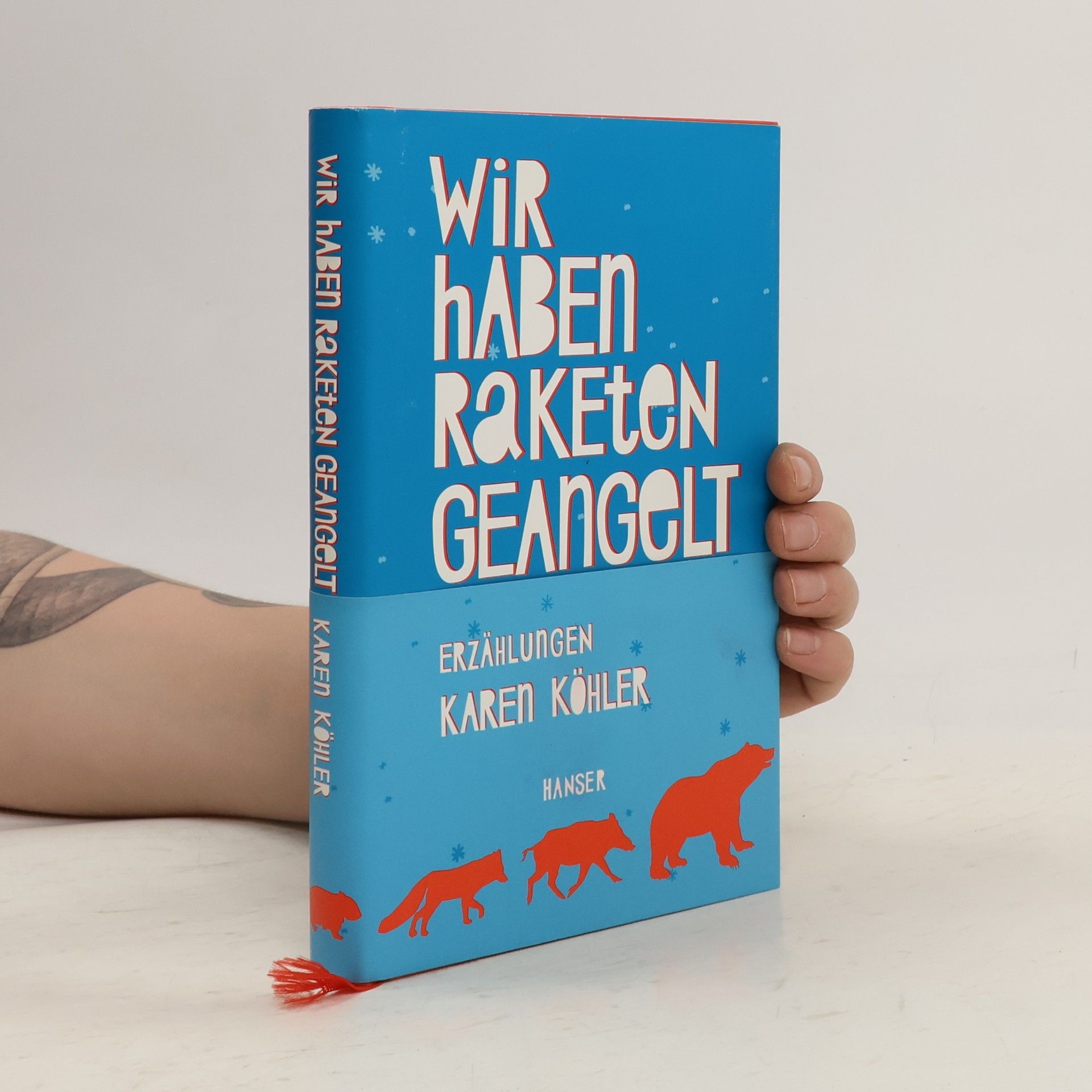 Karen Köhler Wir haben Raketen geangelt