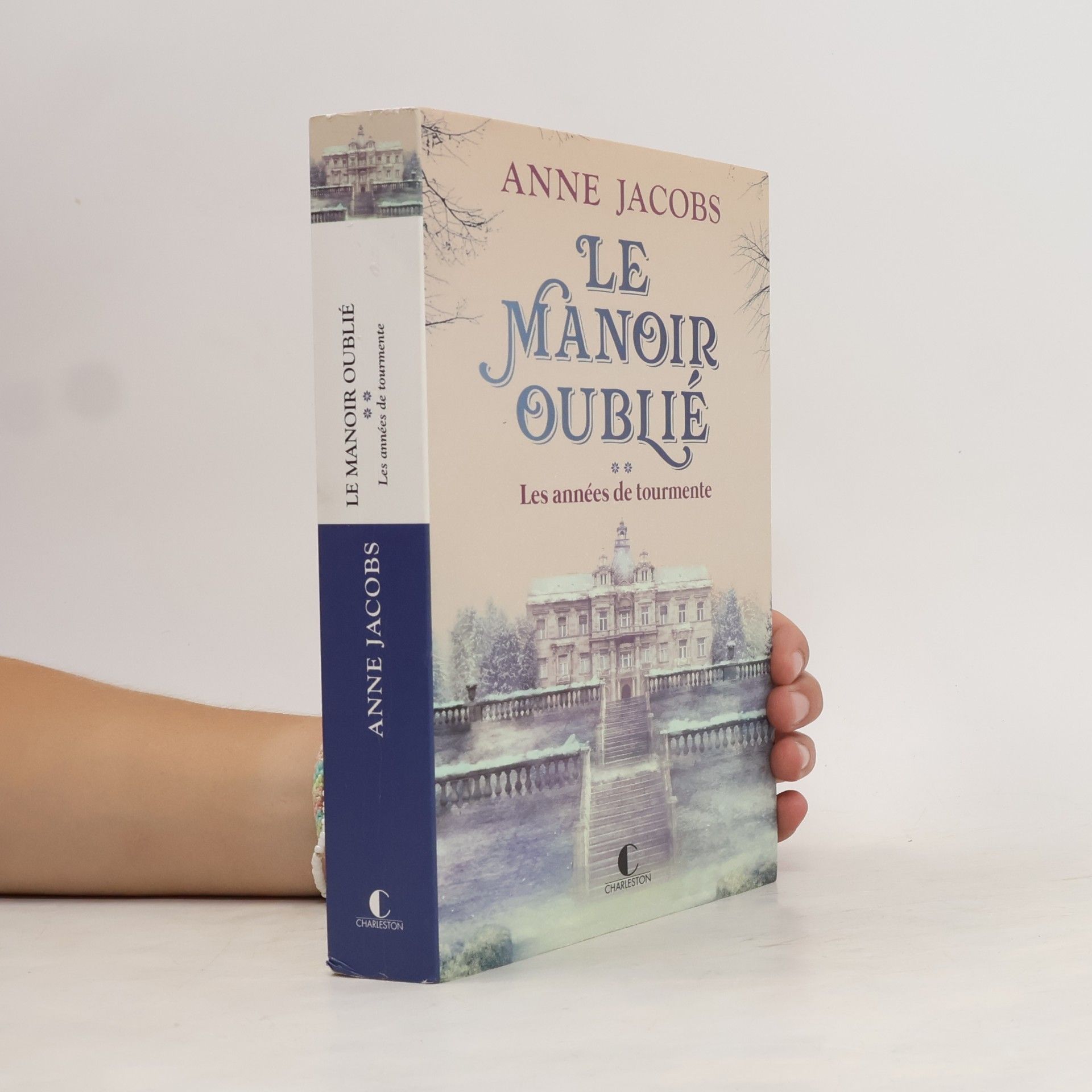 Anne Jacobs Le Manoir Oublié: Les années de tourmente