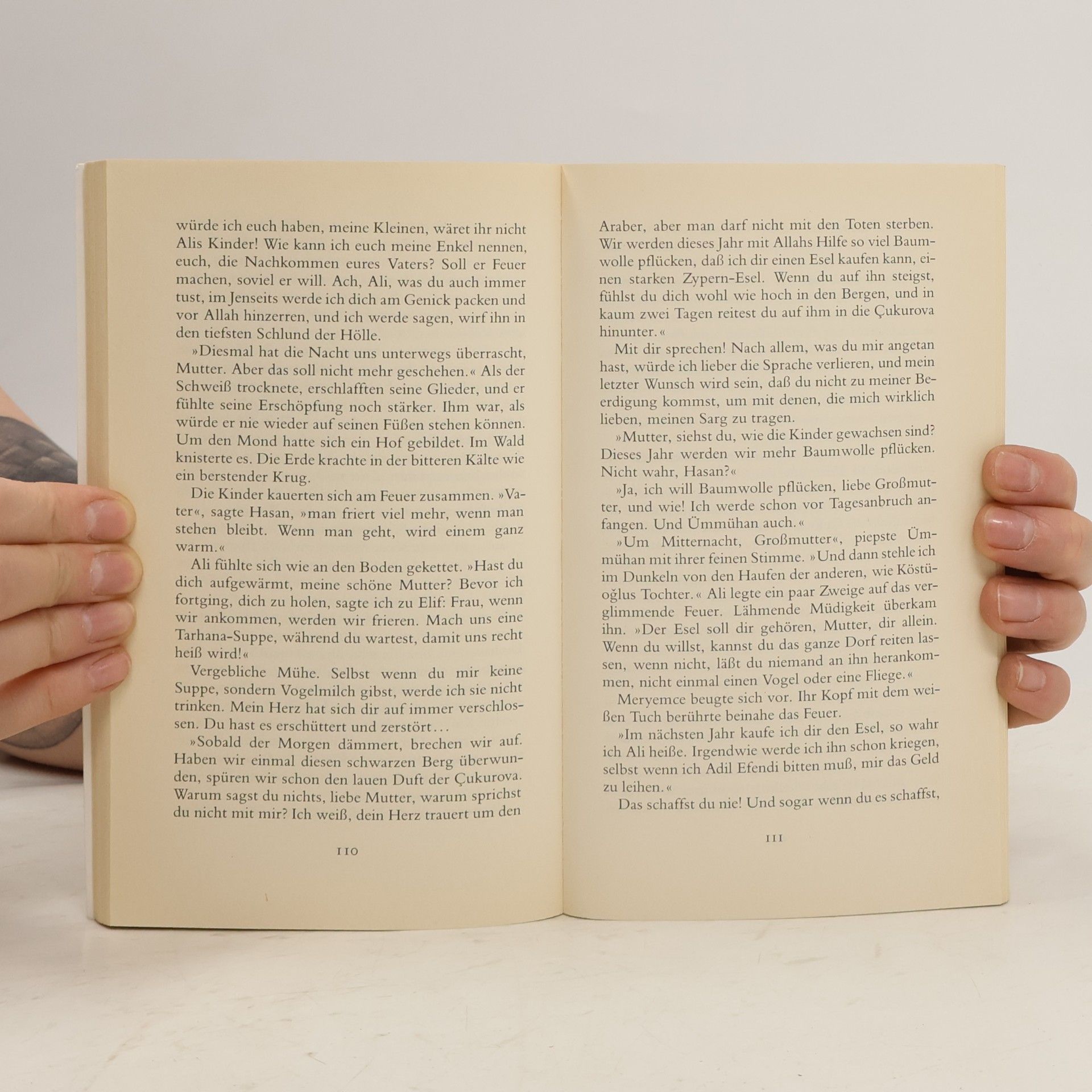 Margarete Bormann Der wind aus der Ebene