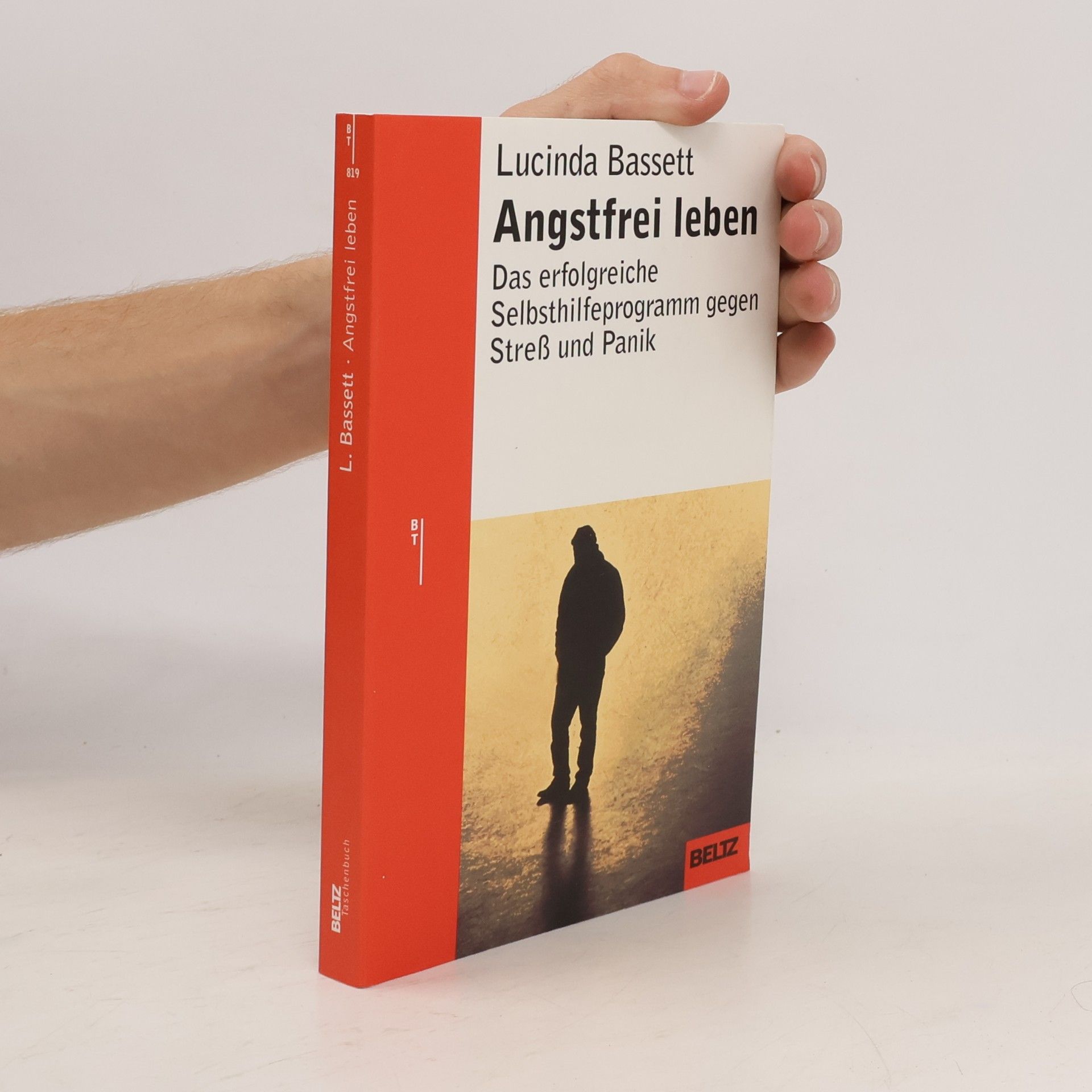 Lucinda Bassett Angstfrei leben