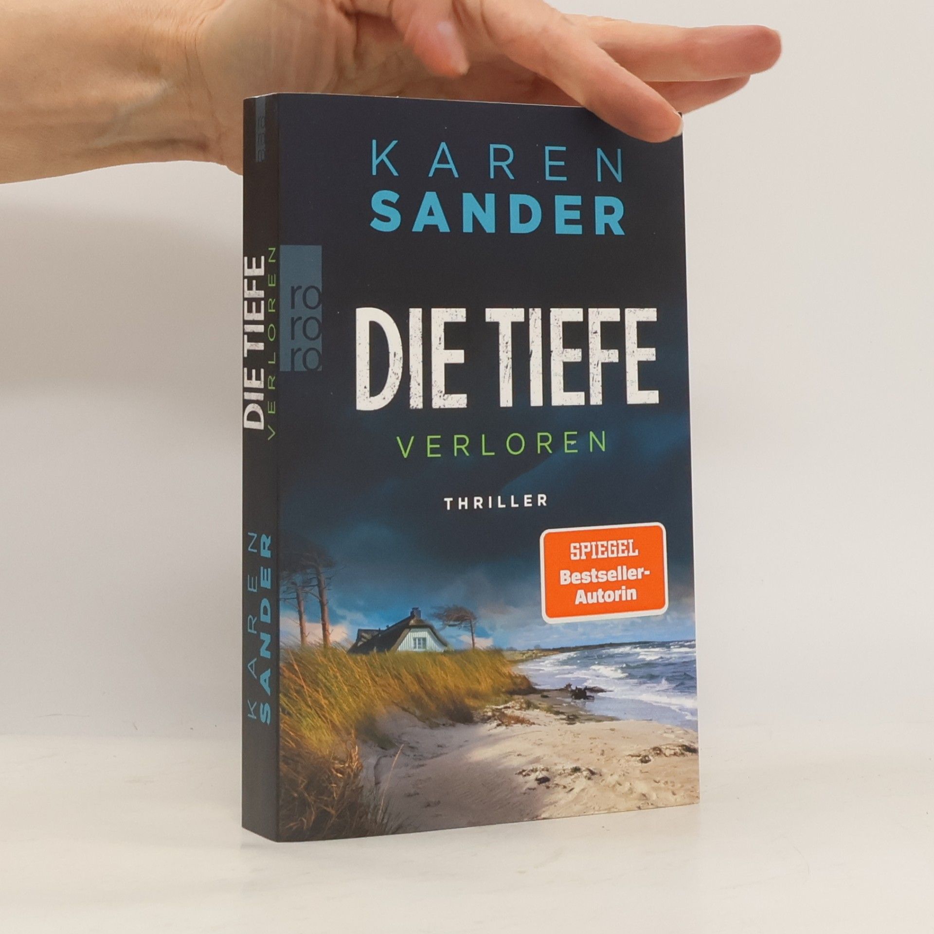 Sabine Martin Die Tiefe: Verloren