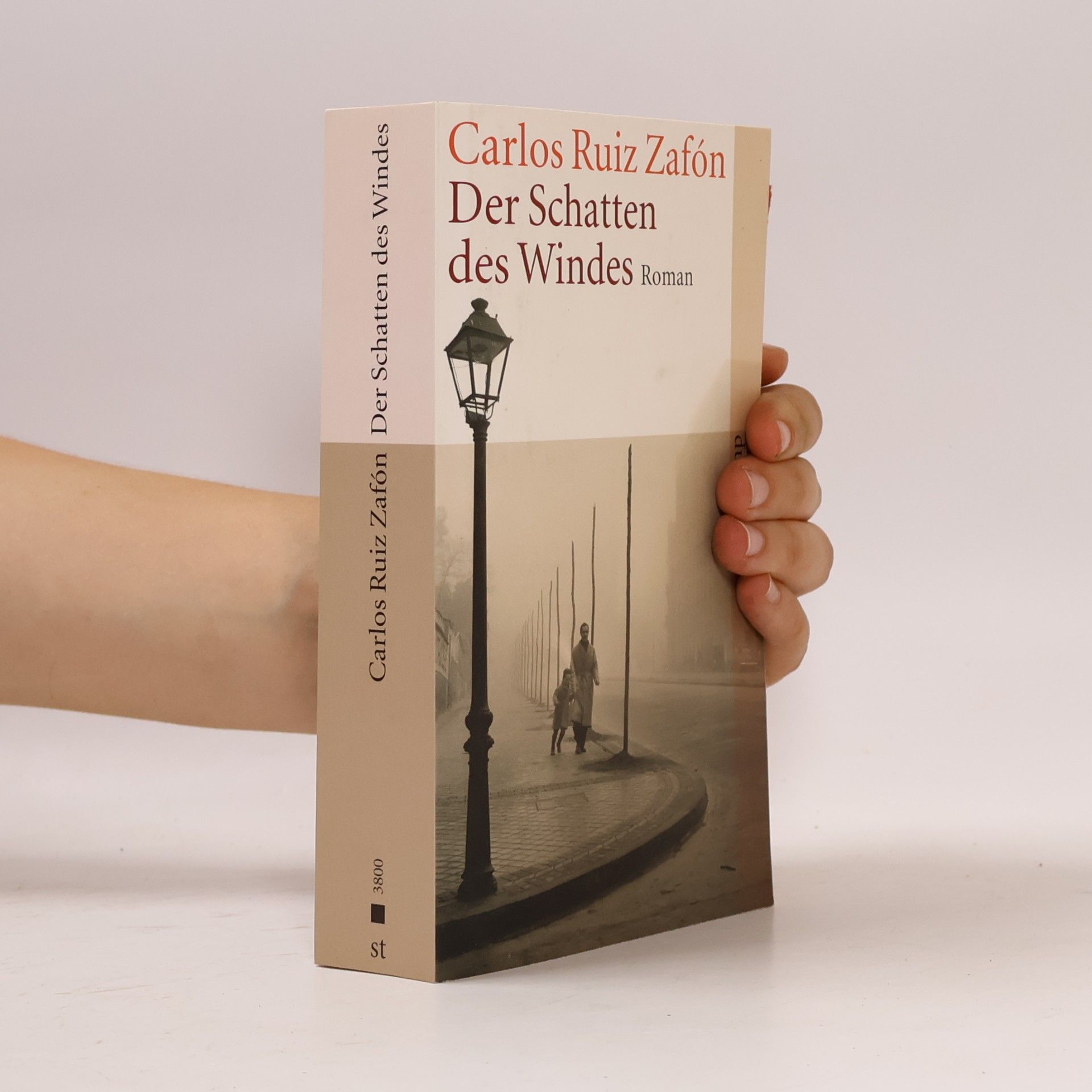 Carlos Ruiz Zafón Der Schatten des Windes