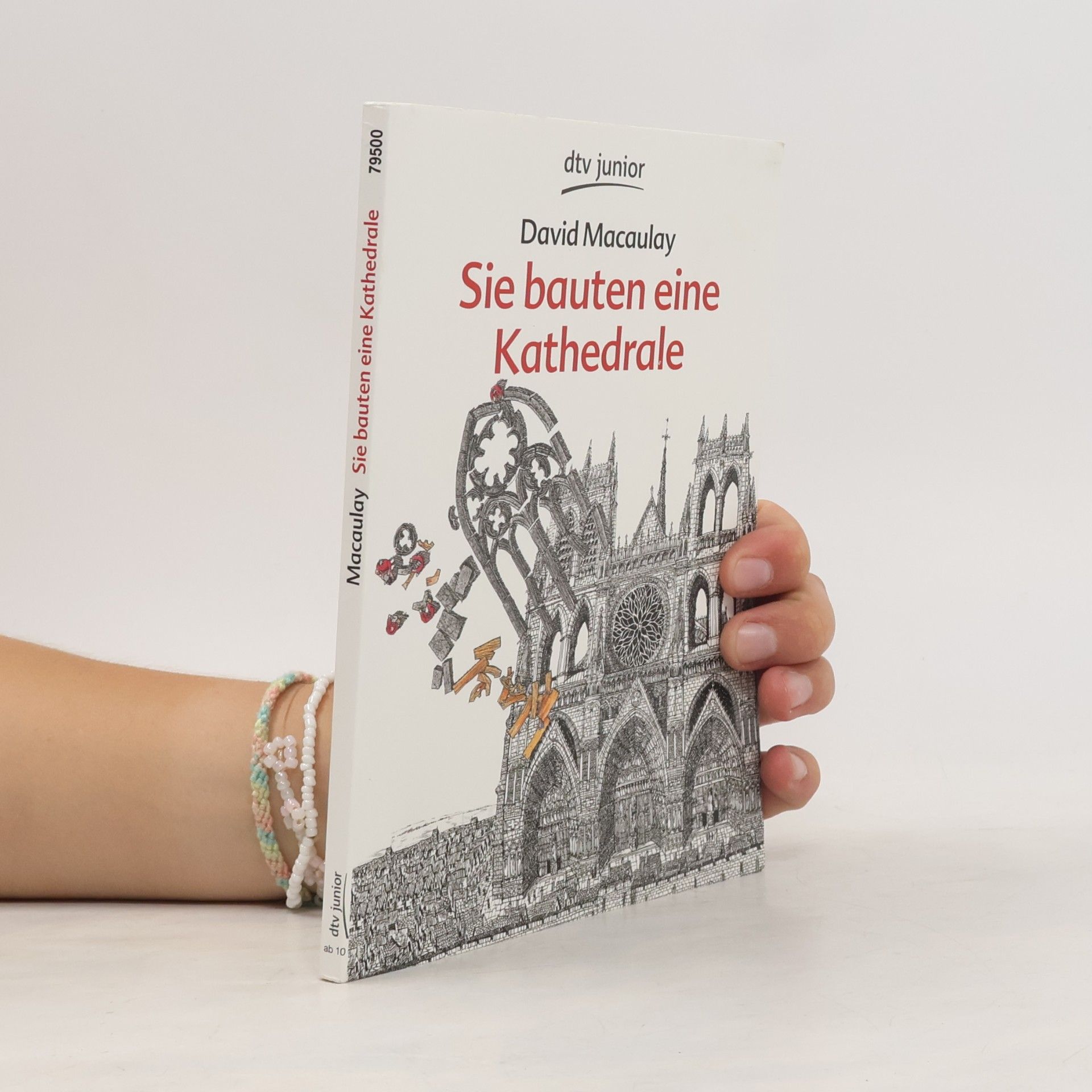 David Macaulay Sie bauten eine Kathedrale