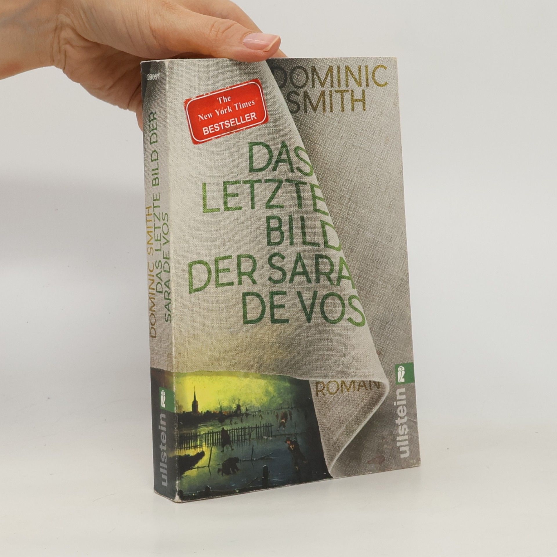 Dominic Smith Das letzte Bild der Sara de Vos