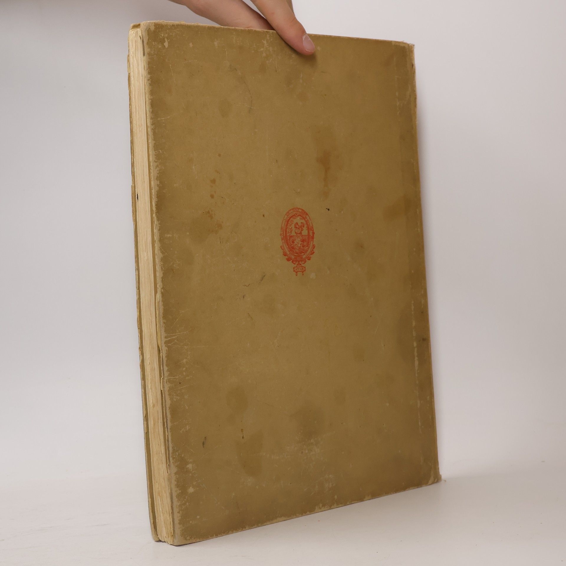 kolektiv Album 6. Division 1915