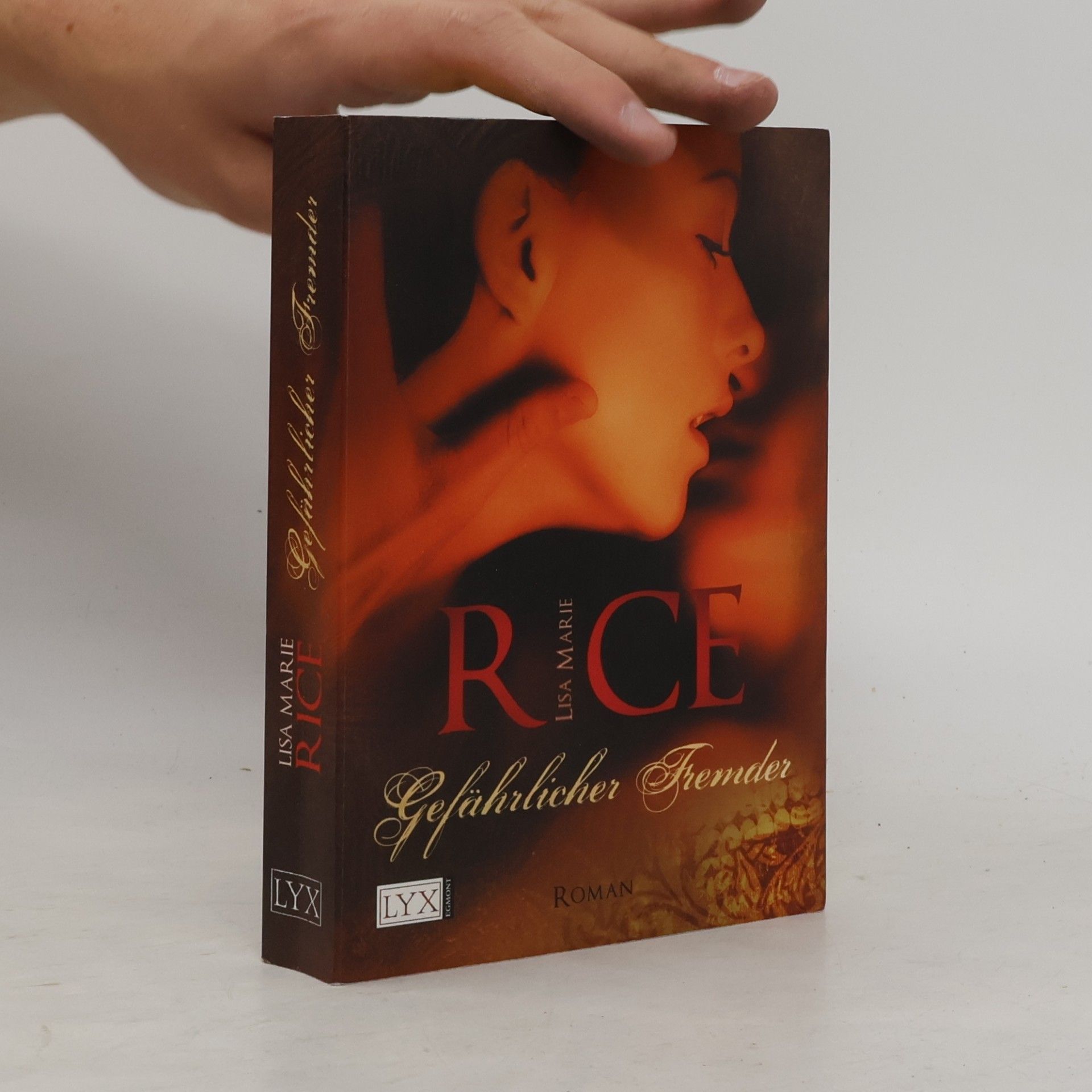 Lisa Marie Rice Gefährlicher Fremder