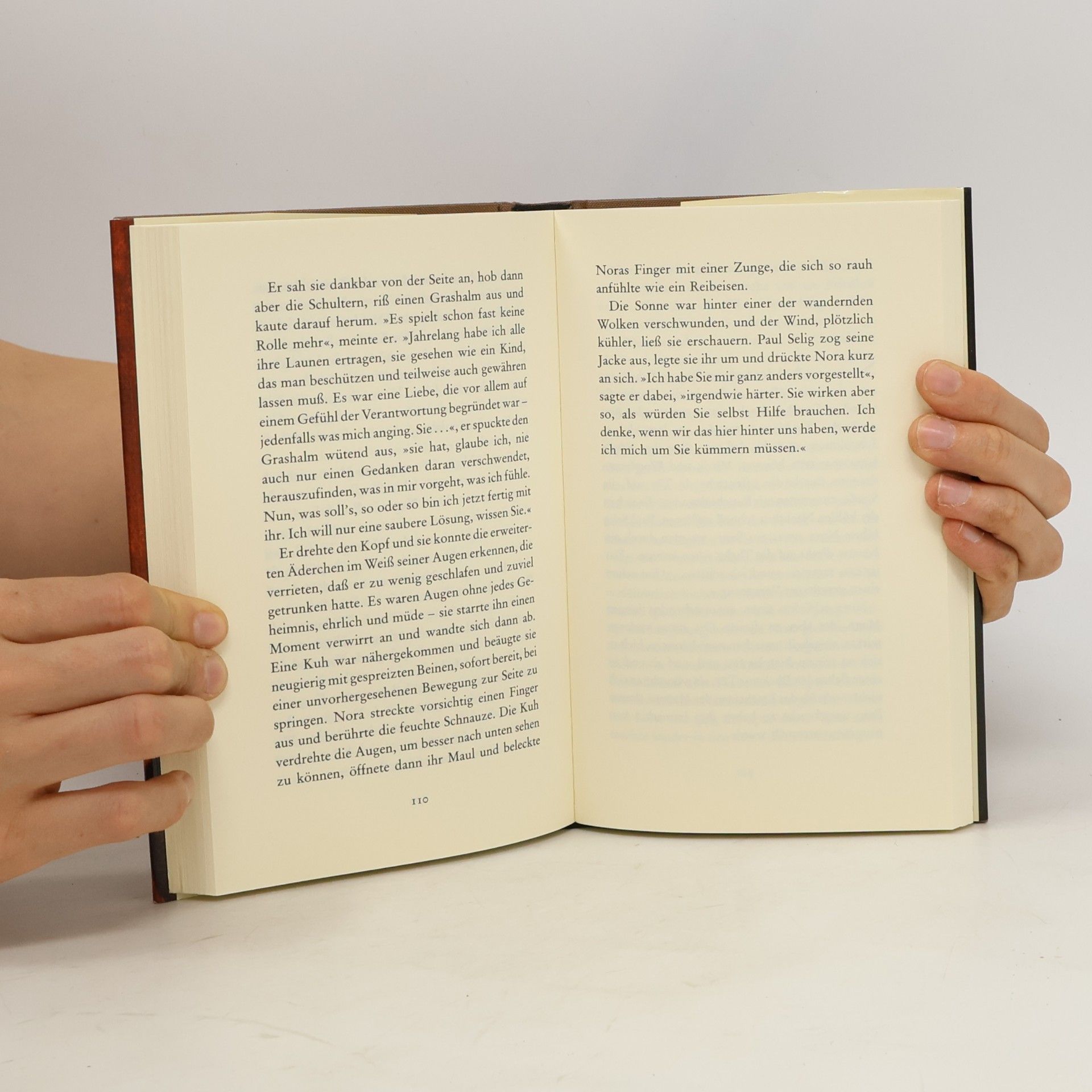 Fanny Morweiser Das Medium