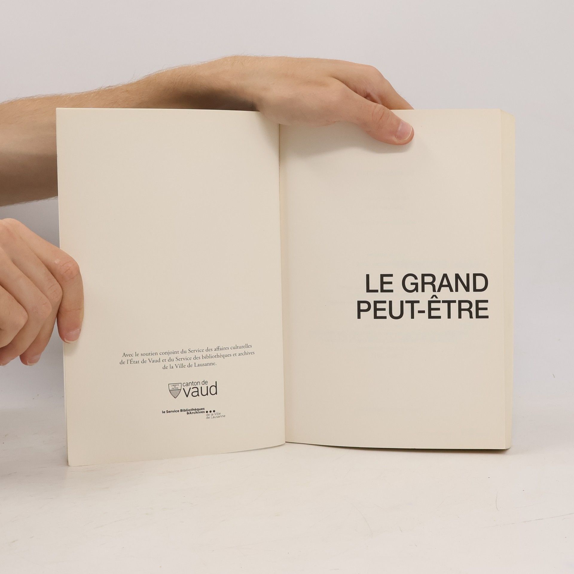 François Hüssy Le Grand Peut-être II