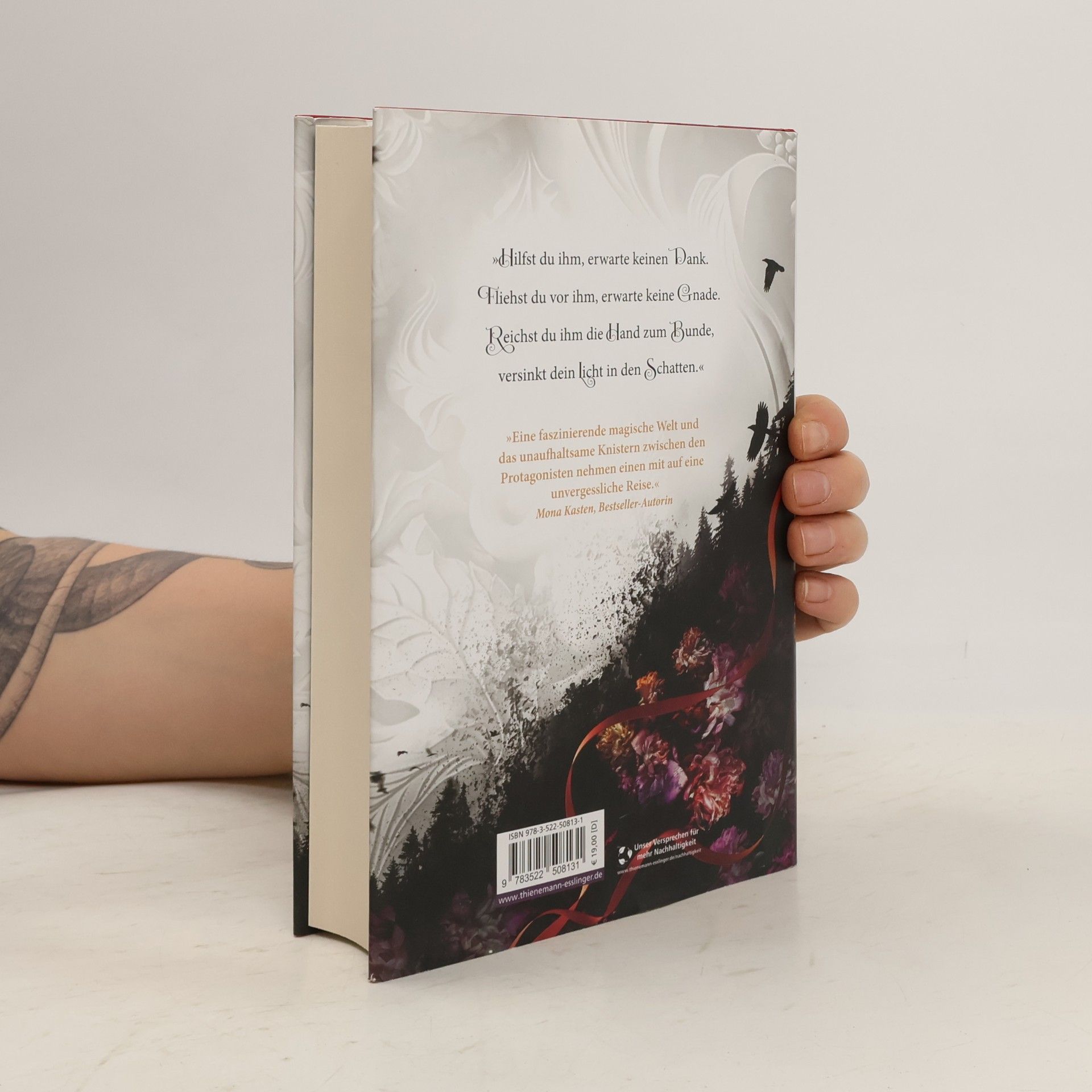 Julia Dippel Die Sonnenfeuer-Ballade 1: A Song to Raise a Storm