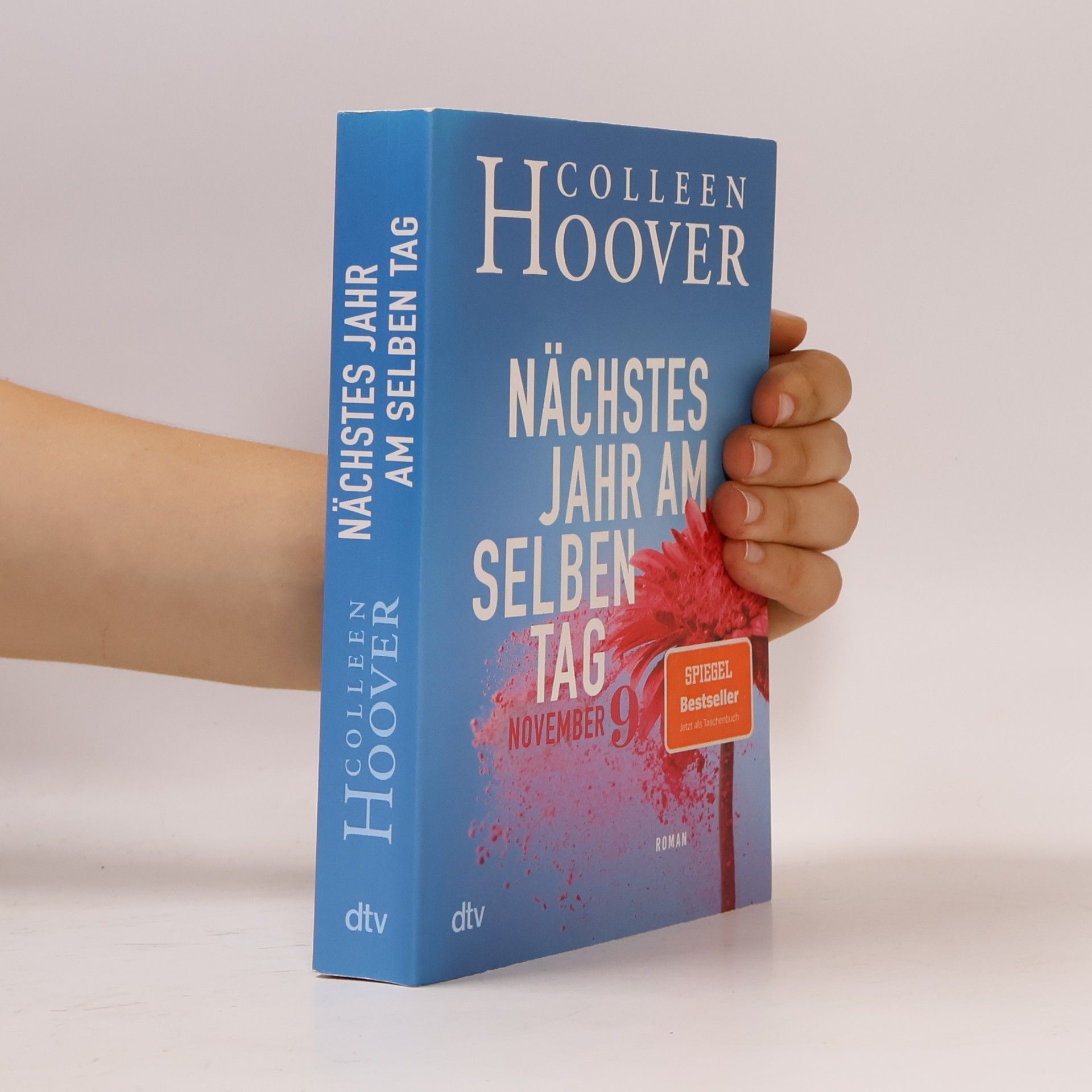 Colleen Hoover Nächstes Jahr am selben Tag