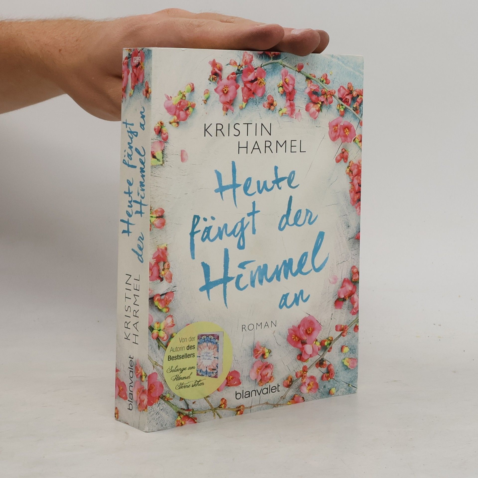 Kristin Harmel Heute fängt der Himmel an