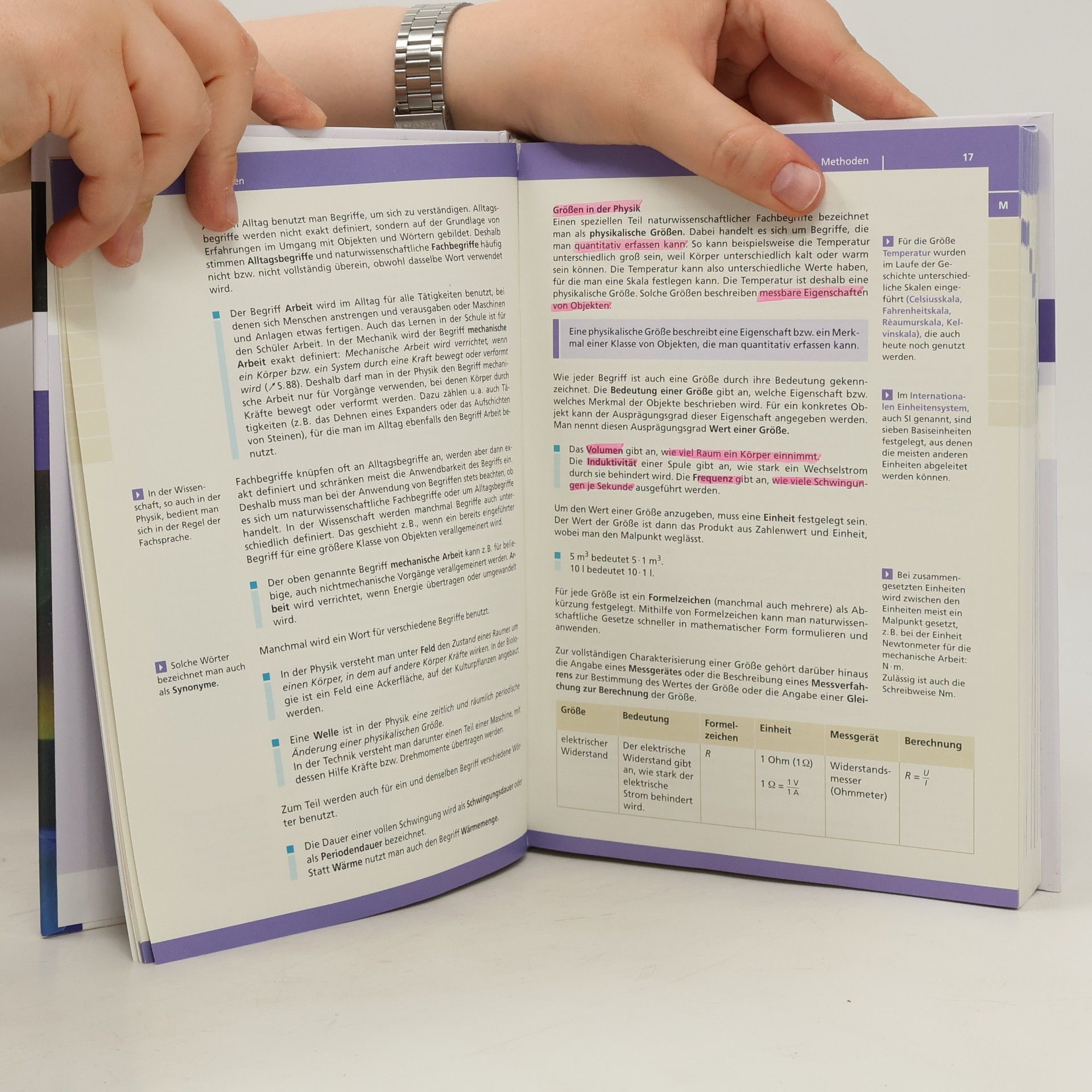 Kolektiv autorů Basiswissen Schule. Physik: Abitur