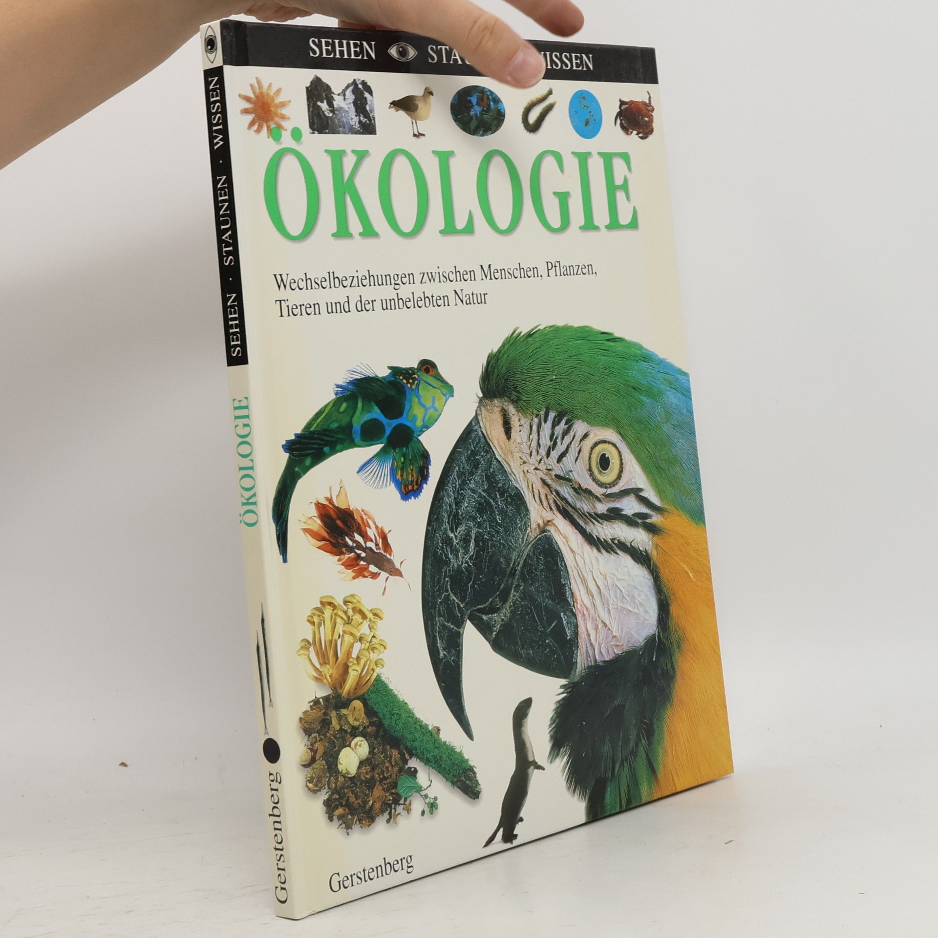 Steve Pollack Ökologie