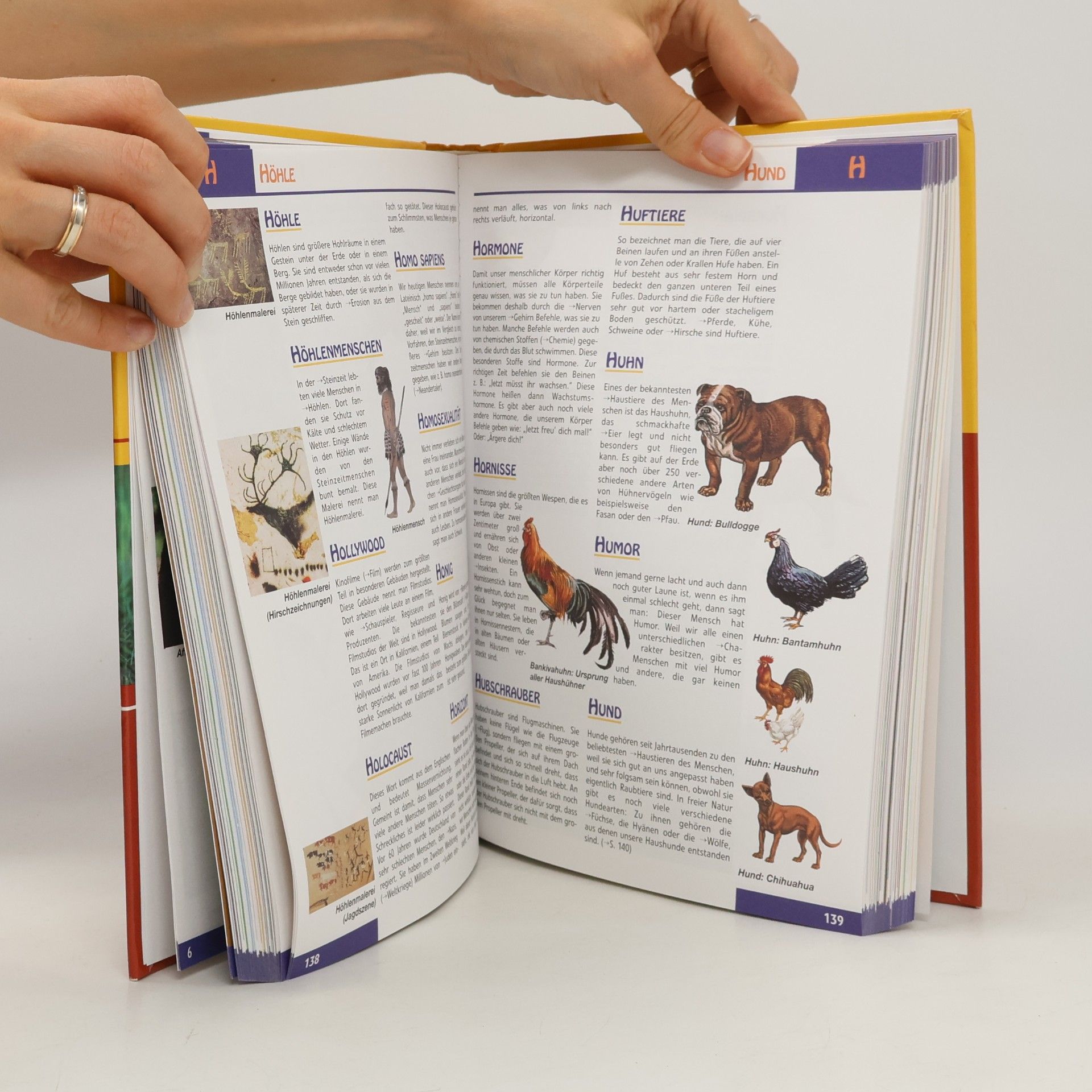 Autorenkollektiv Kinderlexikon in Farbe