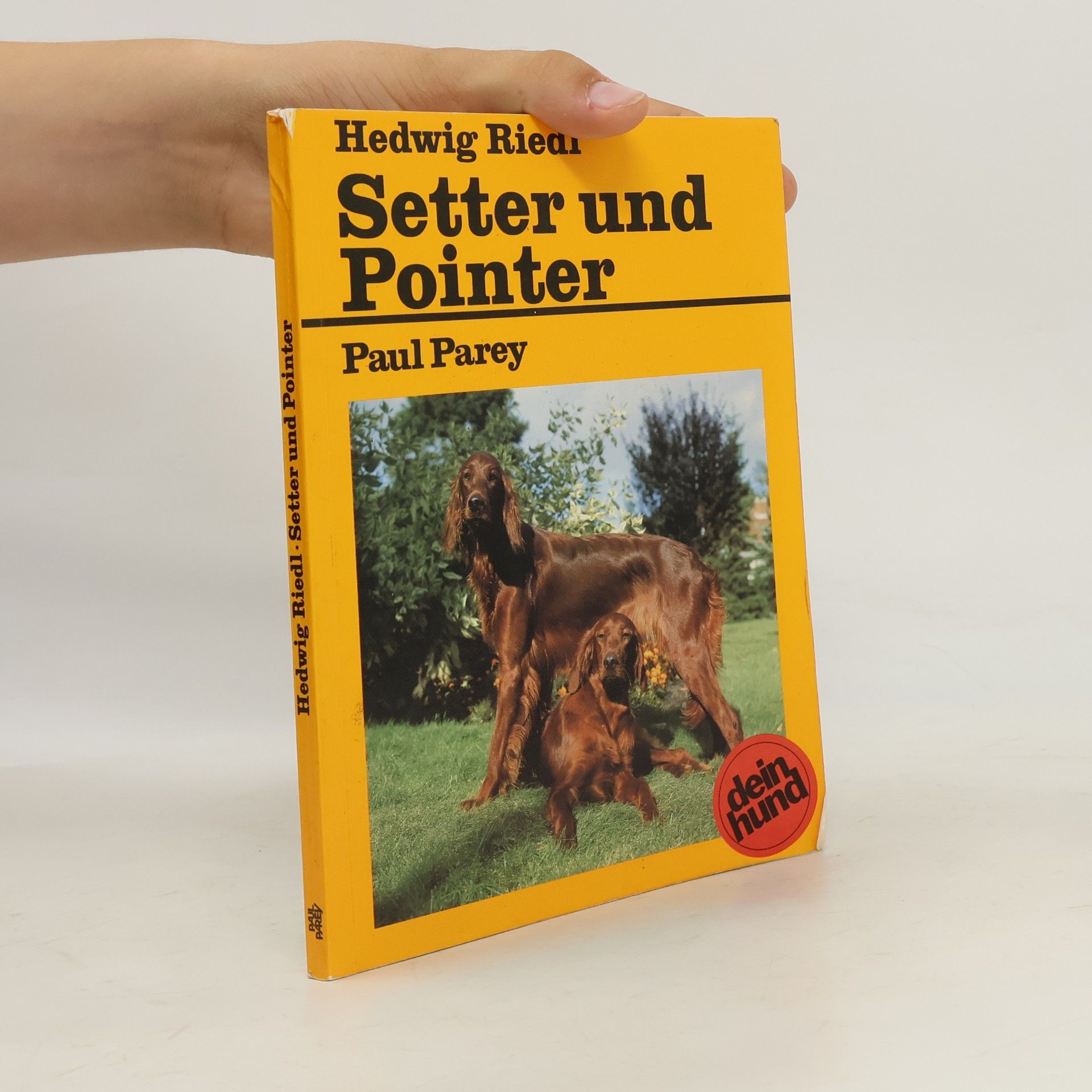 Setter und Pointer