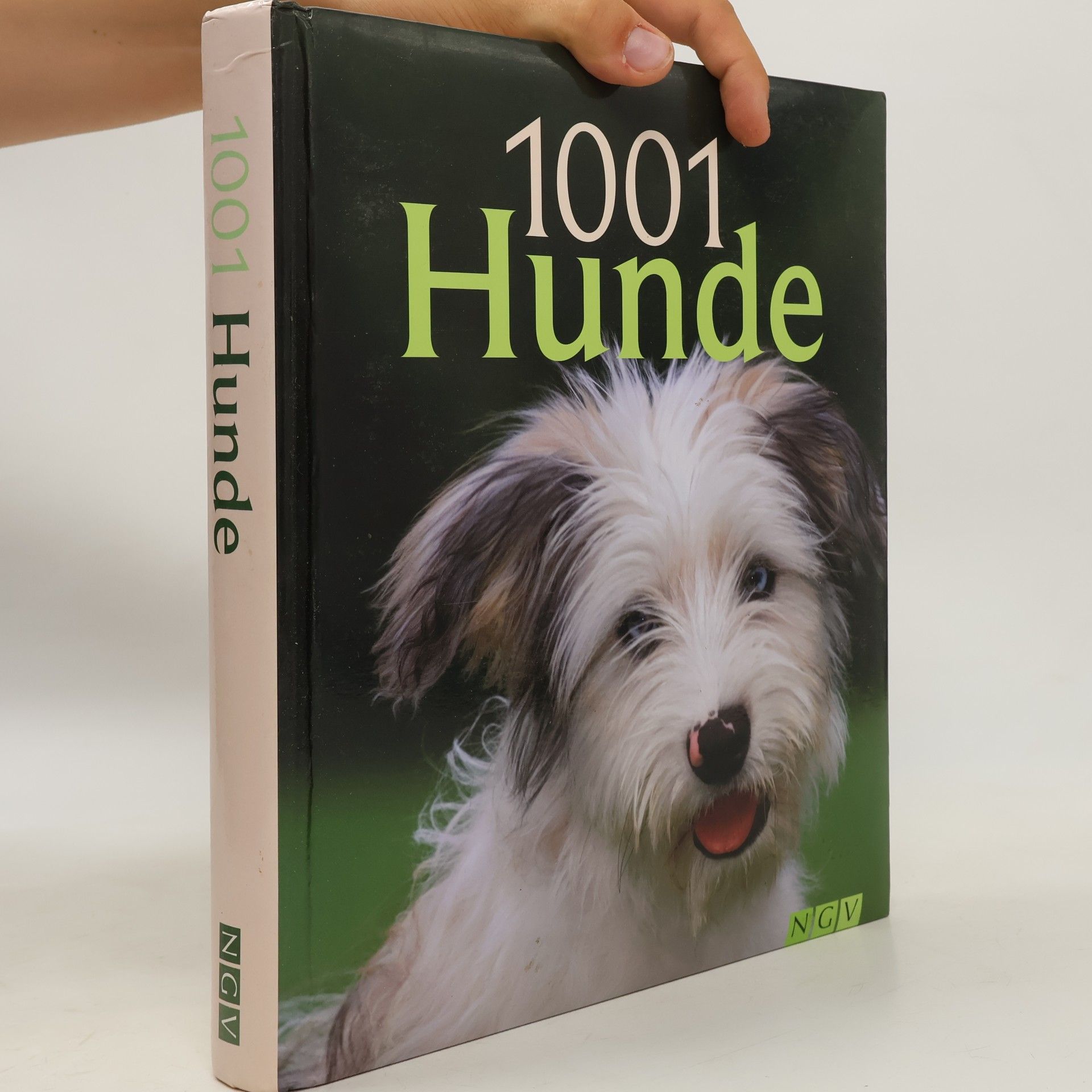 Miriam Kuhl 1001 Hunde