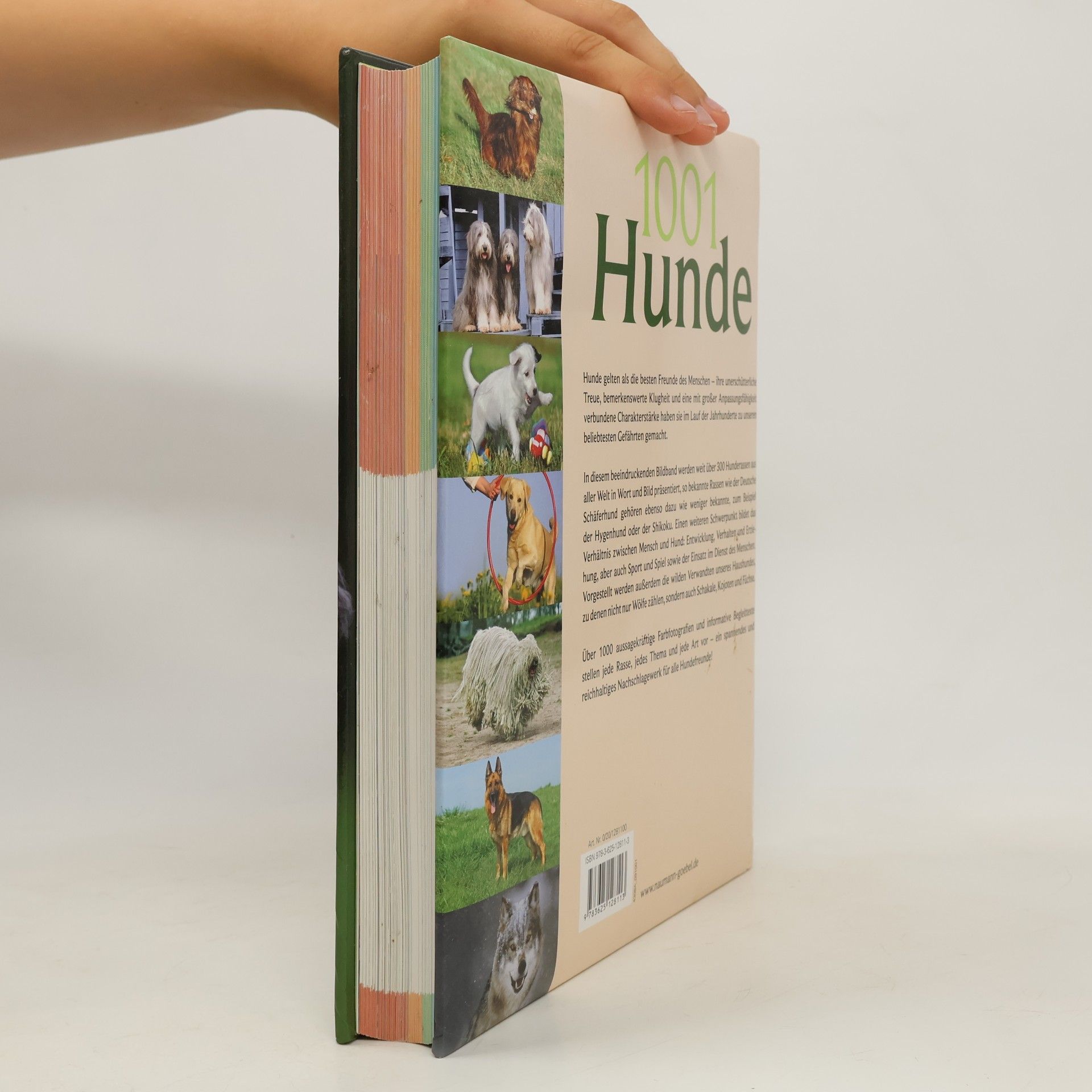 Jennifer Willms 1001 Hunde