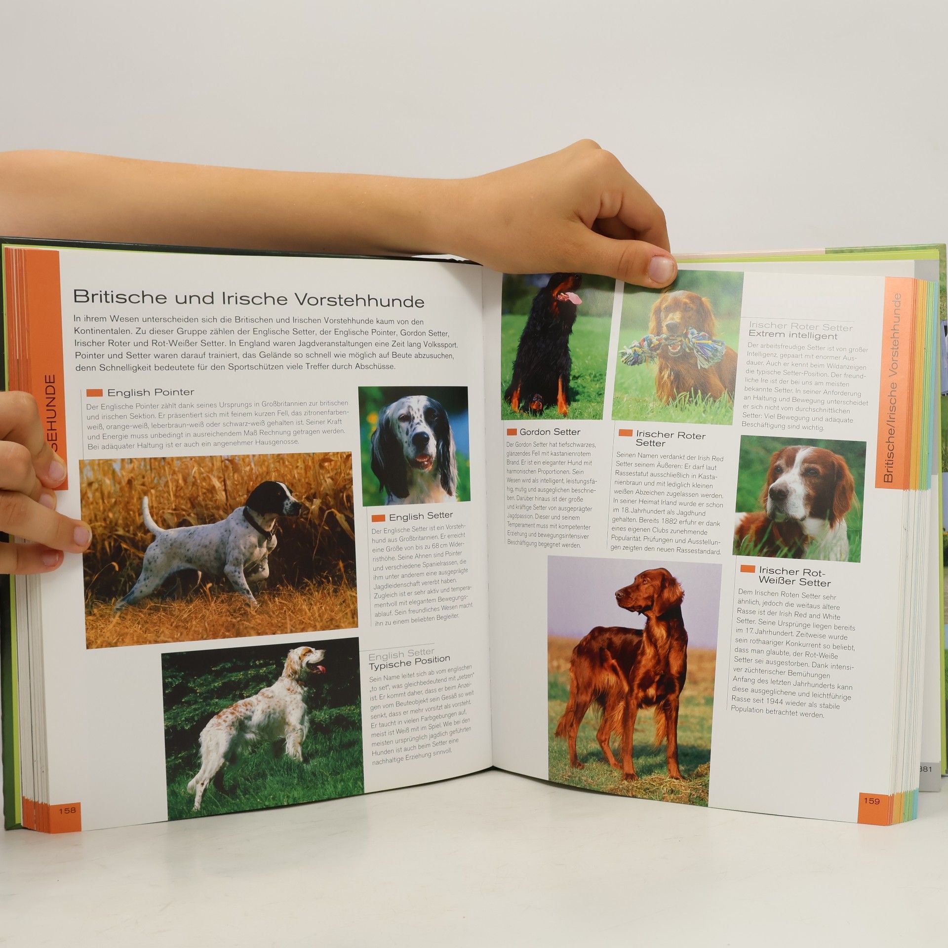 Jennifer Willms 1001 Hunde