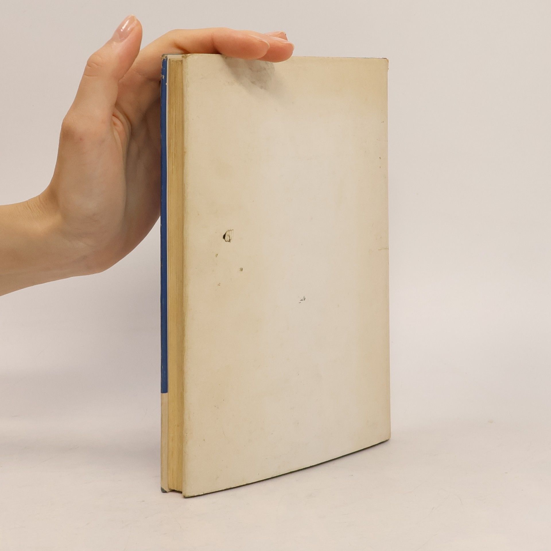 Gerhard Katz Das kleine Buch vom Papierflugzeug