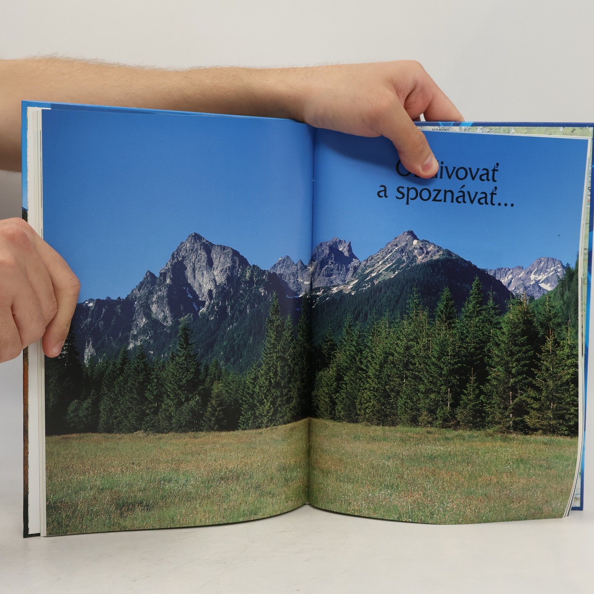 František Kele Tatry s markízou