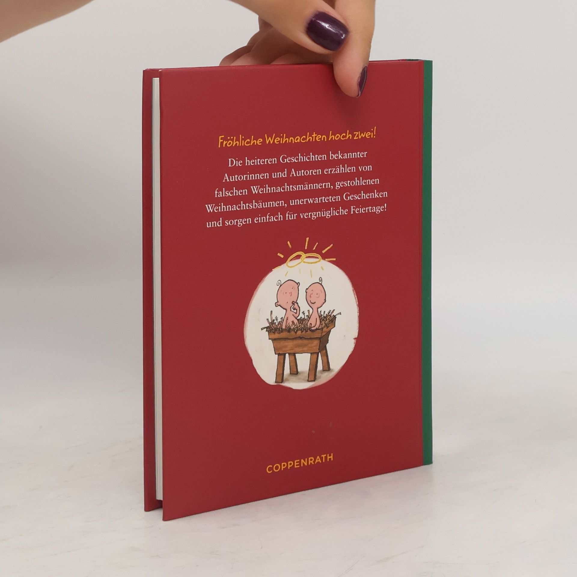 Kolektiv autorů Josef, es sind Zwillinge!