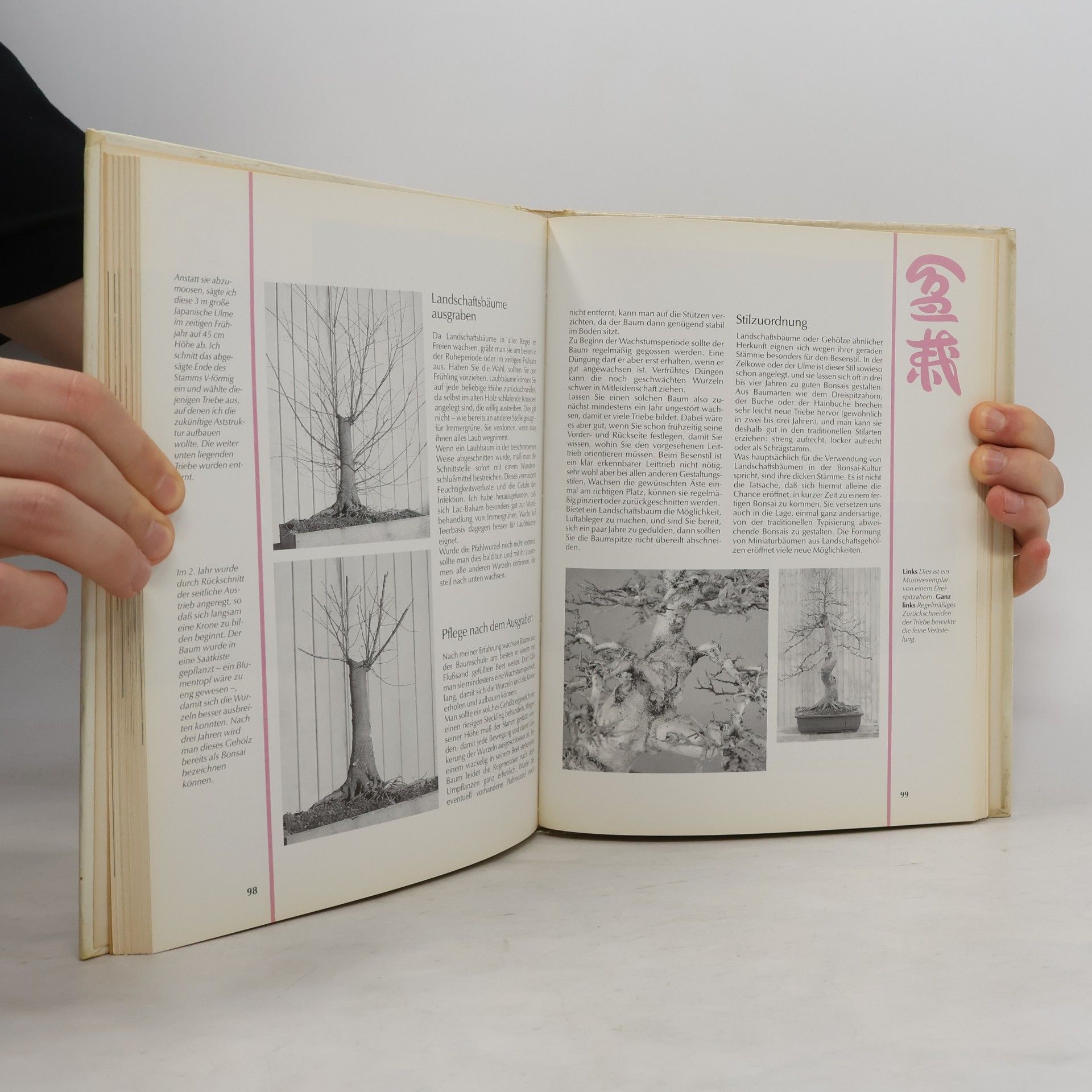 Peter Ho Sun Chan Bonsai masterclass