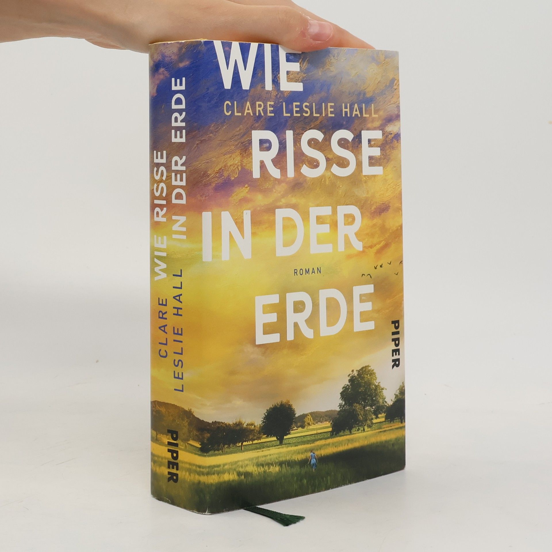 Clare Leslie Hall Wie Risse in der Erde