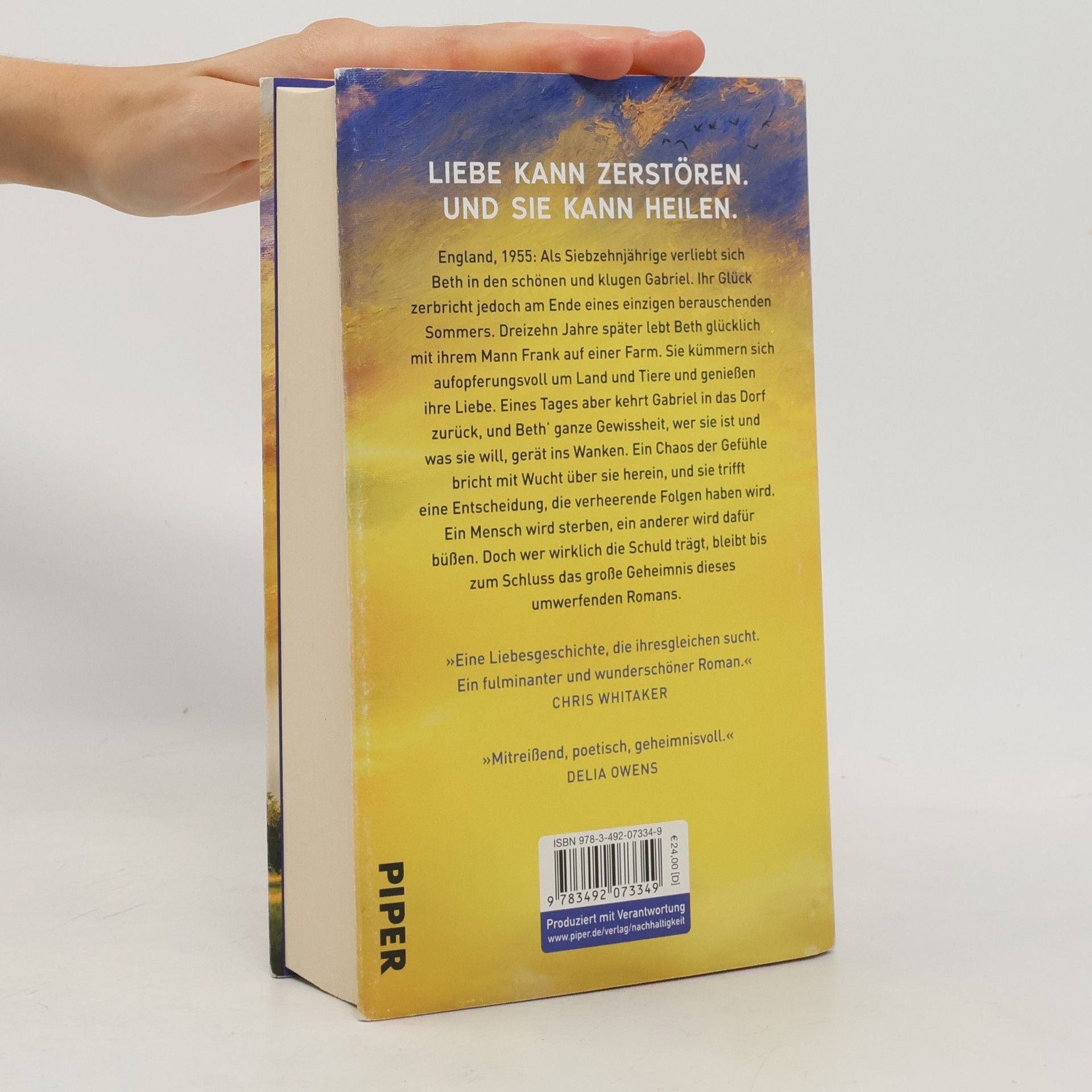 Clare Leslie Hall Wie Risse in der Erde