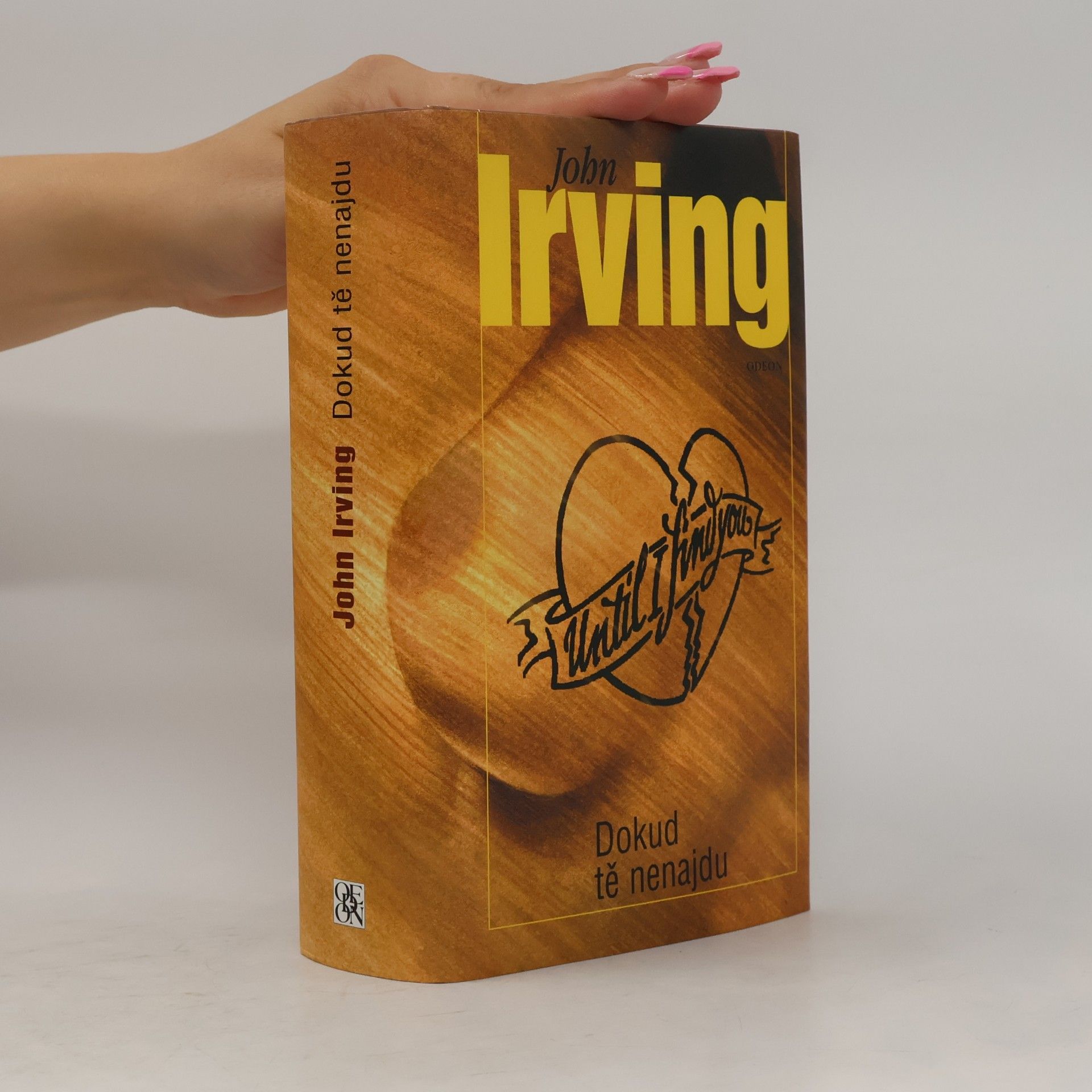 John Irving Dokud tě nenajdu