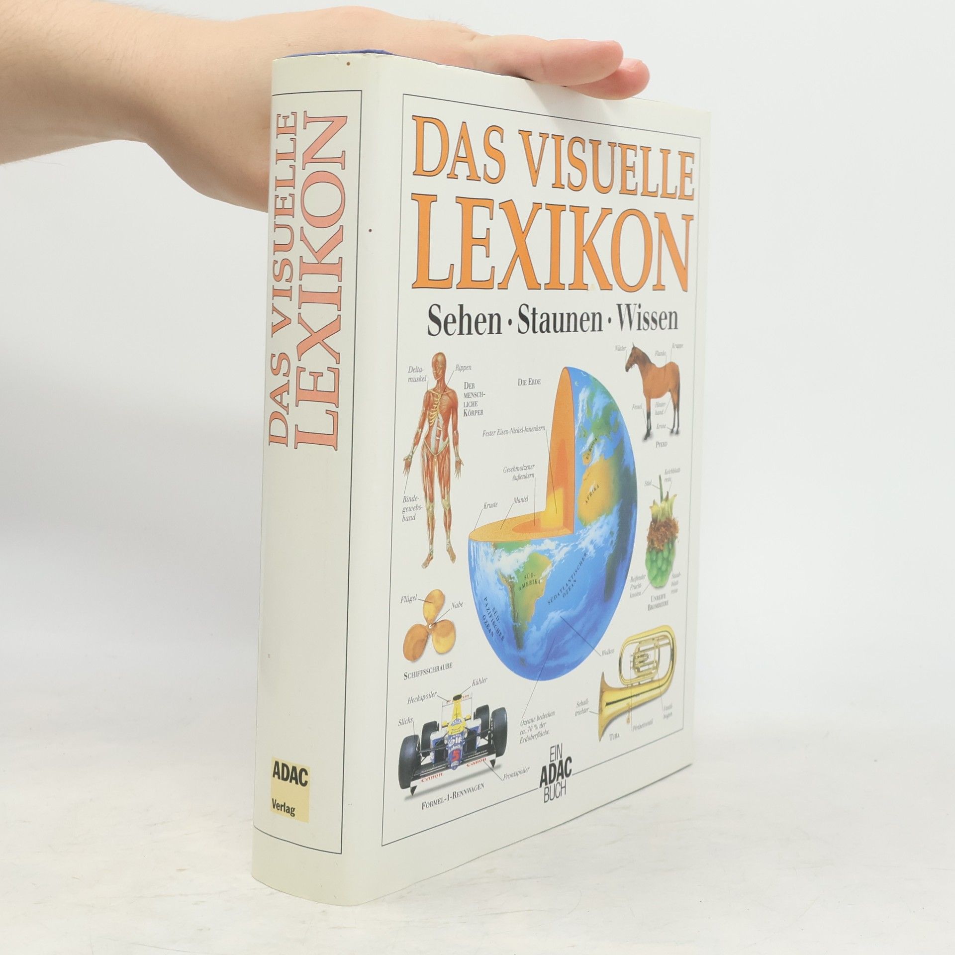 Das visuelle Lexikon