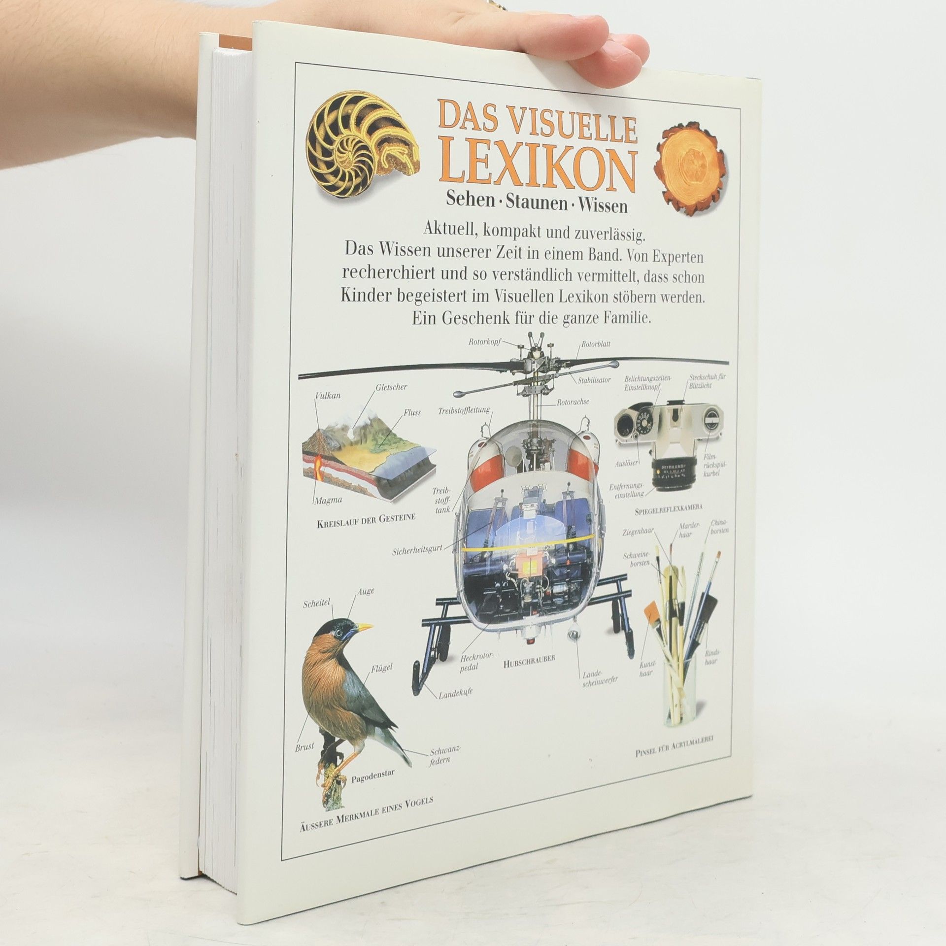 Margot Wilhelmi Das visuelle Lexikon