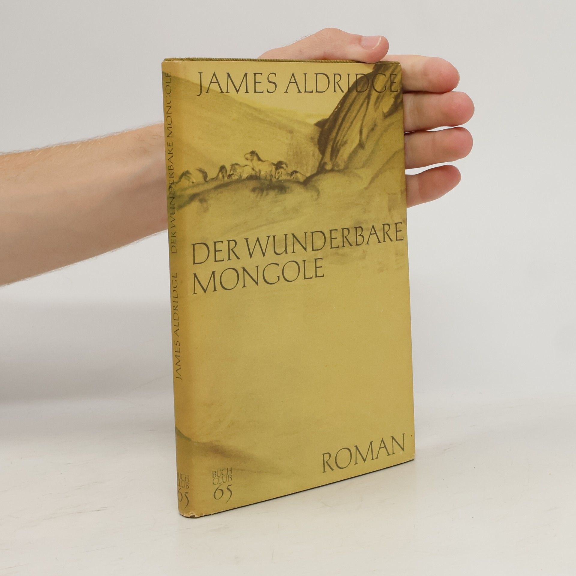 James Aldridge Der wunderbare Mongole