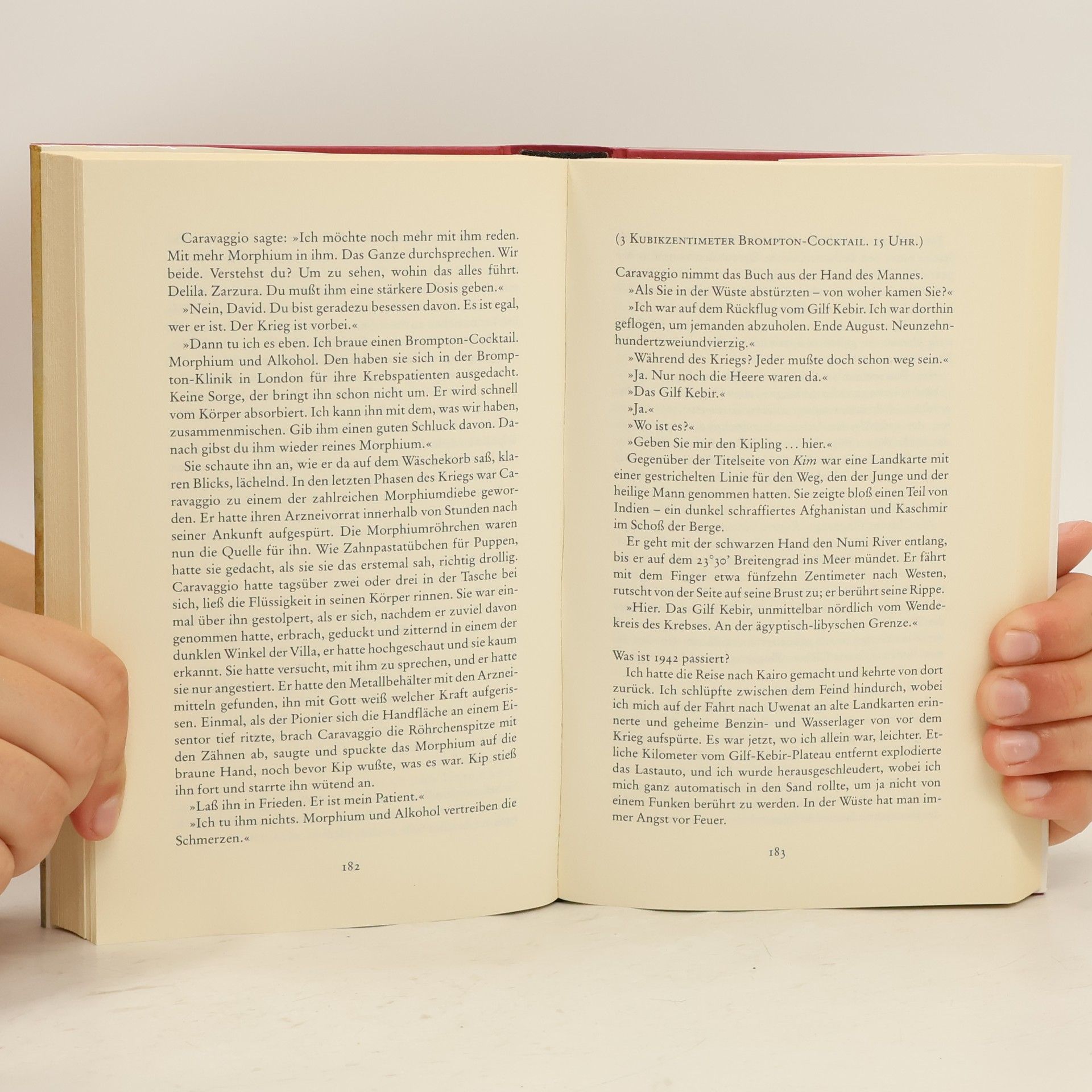 Michael Ondaatje Der englische Patient